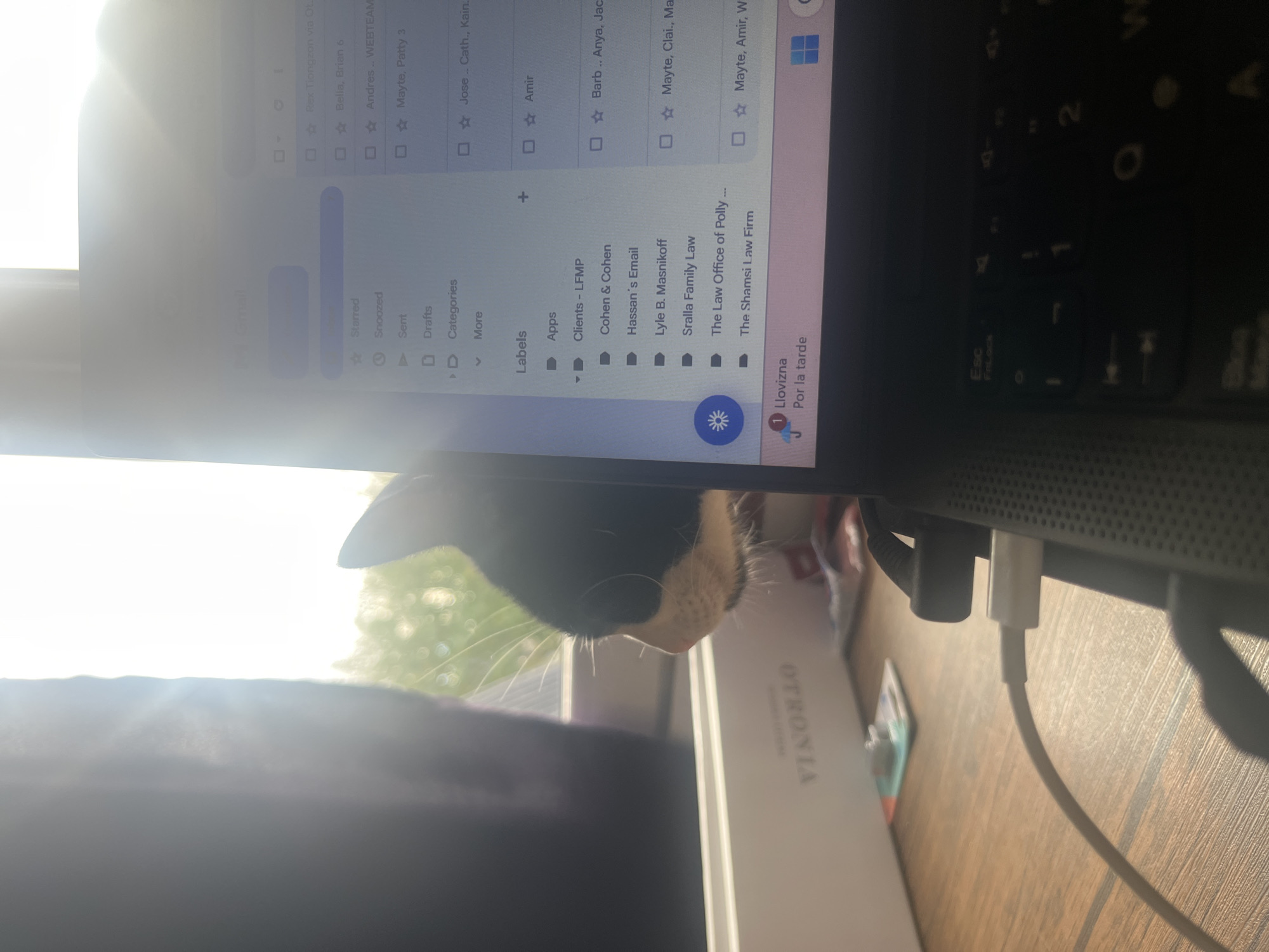 The image depicts a partial view of a laptop screen with a cat peering over the top edge. The screen displays what appears to be a Gmail inbox, with various labels and email subjects visible. The cat is black and white, and its whiskers are visible. A charging cable is plugged into the side of the laptop. A box with the word "VITORIA" is seen next to the laptop.
The location or city of Ushuaia, Argentina, cannot be determined from the visual information in the image.