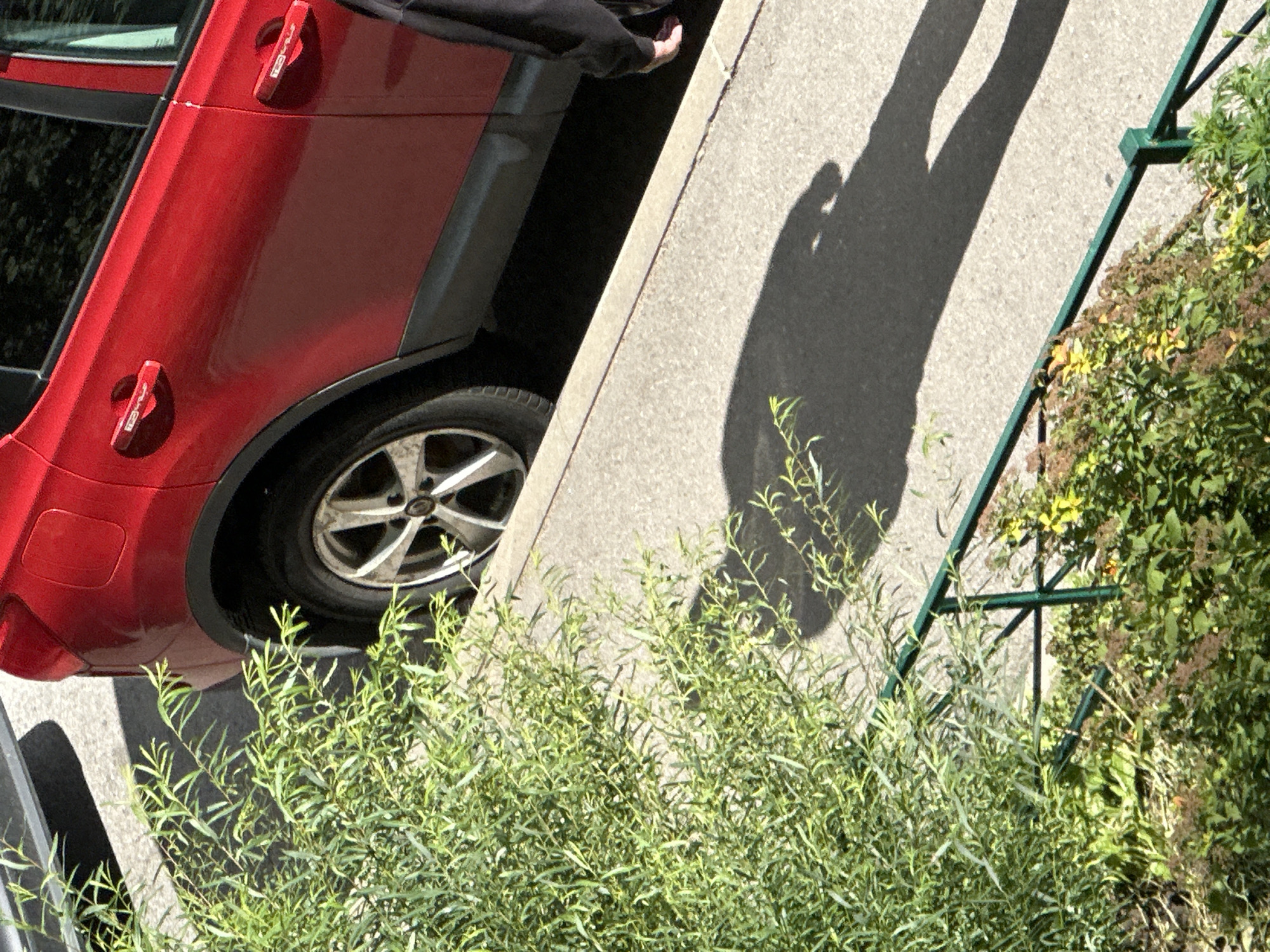 The image captures a bright, sunny day scene in Murino, Russia, with a focus on a red car parked on a sidewalk. The car is positioned partially on the concrete sidewalk, with its front tire clearly visible and resting on the curb. A lush green tree with thin branches and leaves occupies the left side of the frame, casting dappled shadows on the sidewalk and the car. In the background, another vehicle is partially visible. A person's shadow, indicating a standing figure, is cast across the sidewalk and the street, suggesting movement or presence nearby. The scene is bordered by a green metal fence in the lower portion of the image, with more greenery and plants behind it. The overall impression is one of an urban outdoor setting on a clear day.