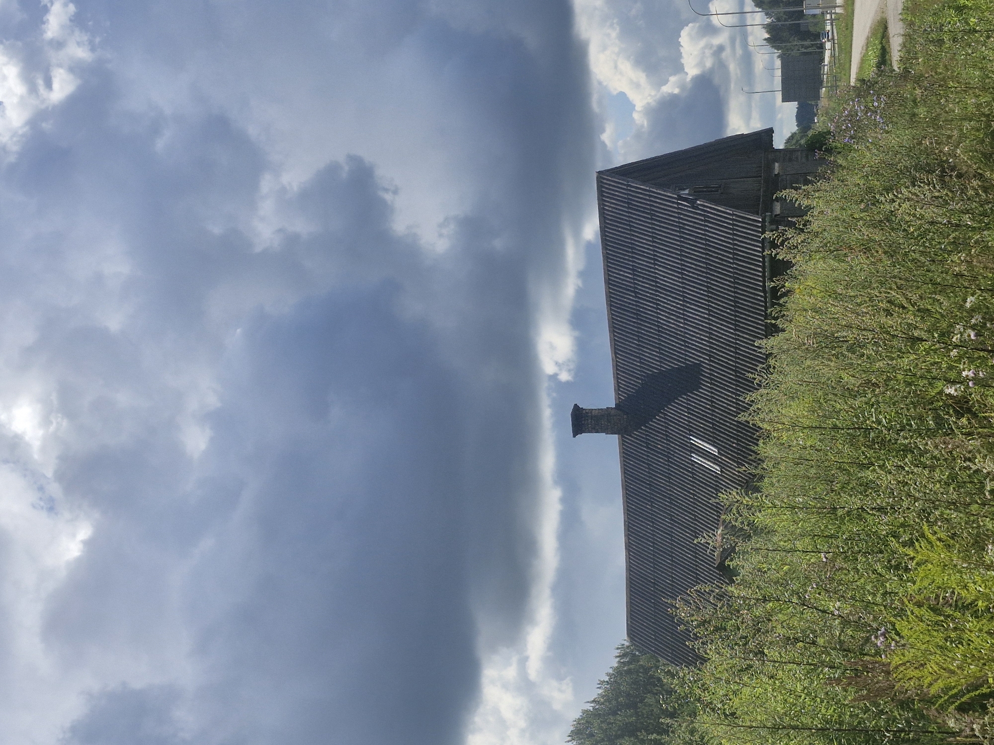 A grey, overcast sky with dark, dramatic clouds dominates the upper half of the image. Below the sky, a dark, corrugated roof of a building is visible, likely a barn or storage structure. A brick chimney stands at the peak of the roof. In the foreground, tall, green, wild vegetation, including grasses and some flowering plants, obstructs the lower portion of the building. To the right of the building, a paved road curves away, with streetlights and a modern billboard visible in the distance. The overall impression is of a rural or semi-rural setting in Ķekava, Latvia, under a stormy sky.