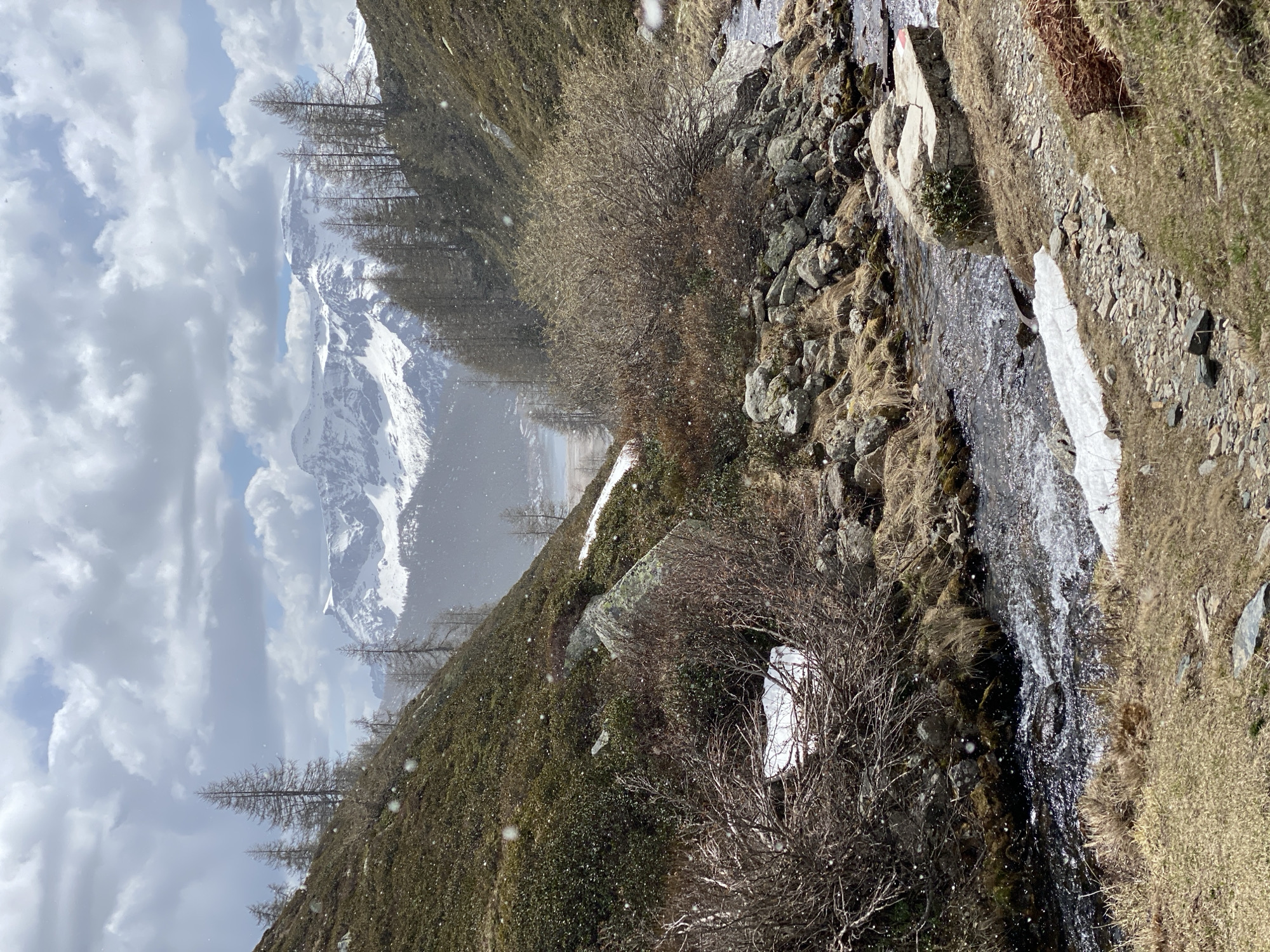 The image captures a mountainous landscape near Baceno, Italy, under a cloudy sky with light snowfall. A prominent snow-capped mountain dominates the background. A narrow stream flows down a rocky hillside, edged with patches of snow and dry grass. Bushes and trees, still bare from winter, are scattered along the slope, leading towards the mountain vista.