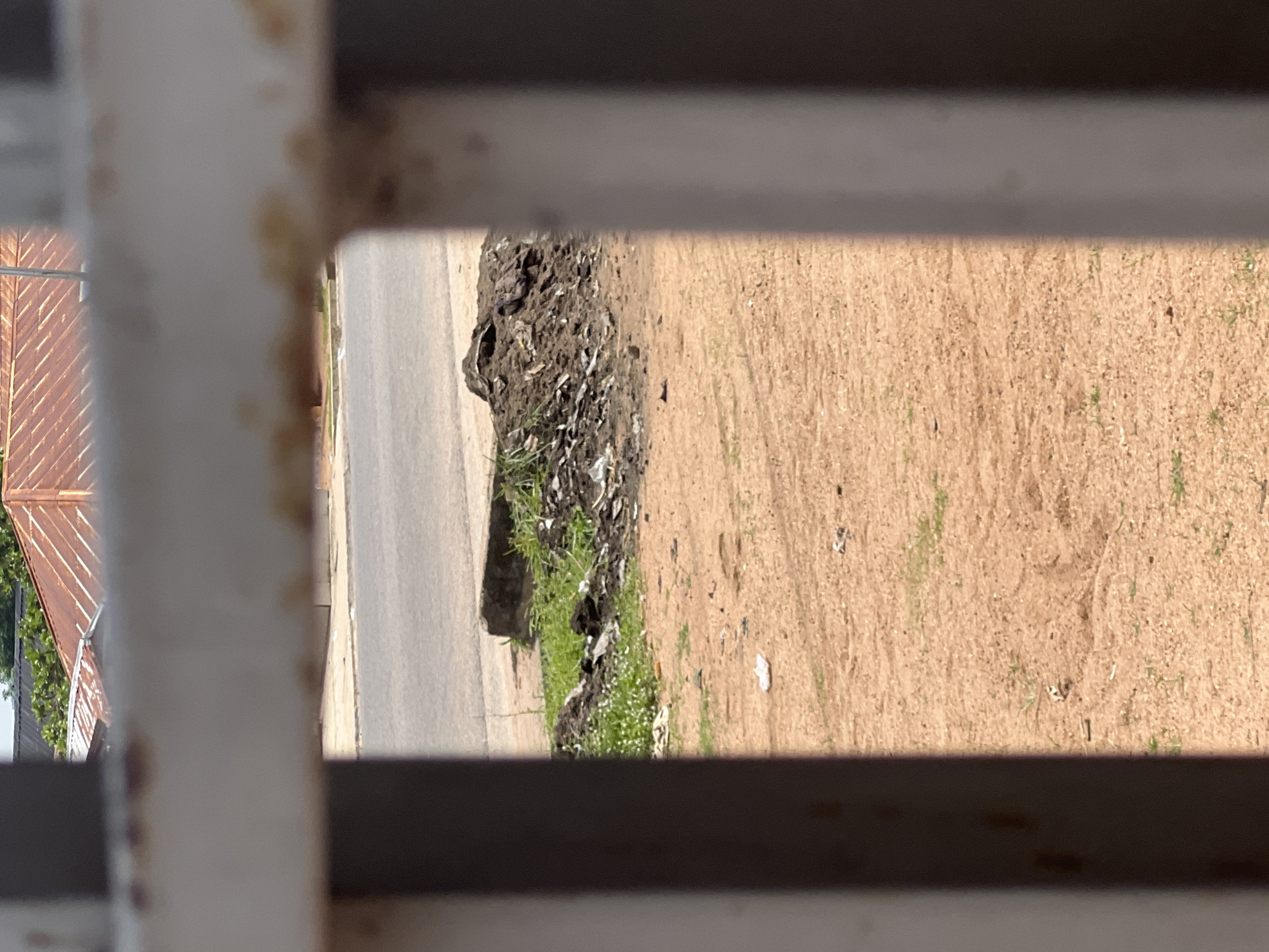 The image shows a view of a roadside in Jalingo, Nigeria, seen through horizontal bars. The bars are white and appear to be made of metal, with some rust and discoloration. The scene is viewed from a slightly elevated perspective.
On the left side of the image, there is a portion of a corrugated metal roof with a reddish-brown color, suggesting it belongs to a building. Some green foliage is visible behind the roof.
The main focus of the image is the roadside. A paved road, likely asphalt, runs from left to right across the frame. To the right of the road, there is a strip of ground covered in dry, sandy soil. This area is dotted with sparse green grass and some debris, including white plastic waste. Adjacent to the road, there is a raised area with dark soil, rocks, and more green vegetation, including small white flowers.
The lighting suggests it is daytime, with bright sunlight casting shadows and illuminating the scene. The overall impression is one of an outdoor environment in a possibly arid or semi-arid region, with signs of human activity and litter. No people are visible in the frame. There is no visible text in the image.