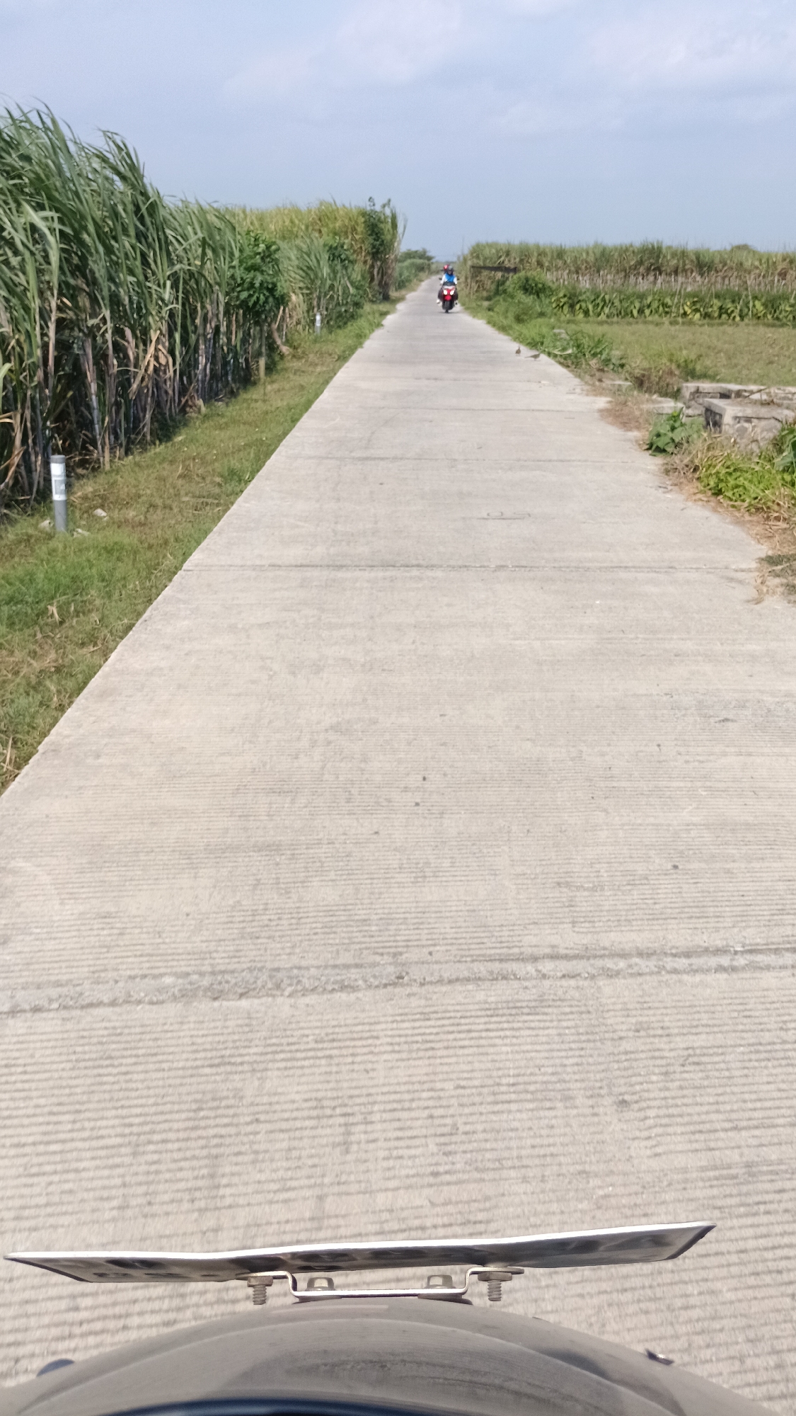 This is a photograph taken from the perspective of someone riding a motorcycle on a paved road in Cendono, Indonesia. The road stretches into the distance and is lined with tall green sugar cane stalks on the left side and rows of shorter vegetation on the right. In the distance, two individuals on motorcycles are visible, traveling in the same direction as the camera. The sky above is partly cloudy, indicating daytime. The foreground shows the handlebars and a portion of the motorcycle the photographer is riding on. The environment appears to be rural, with agricultural fields bordering the road.