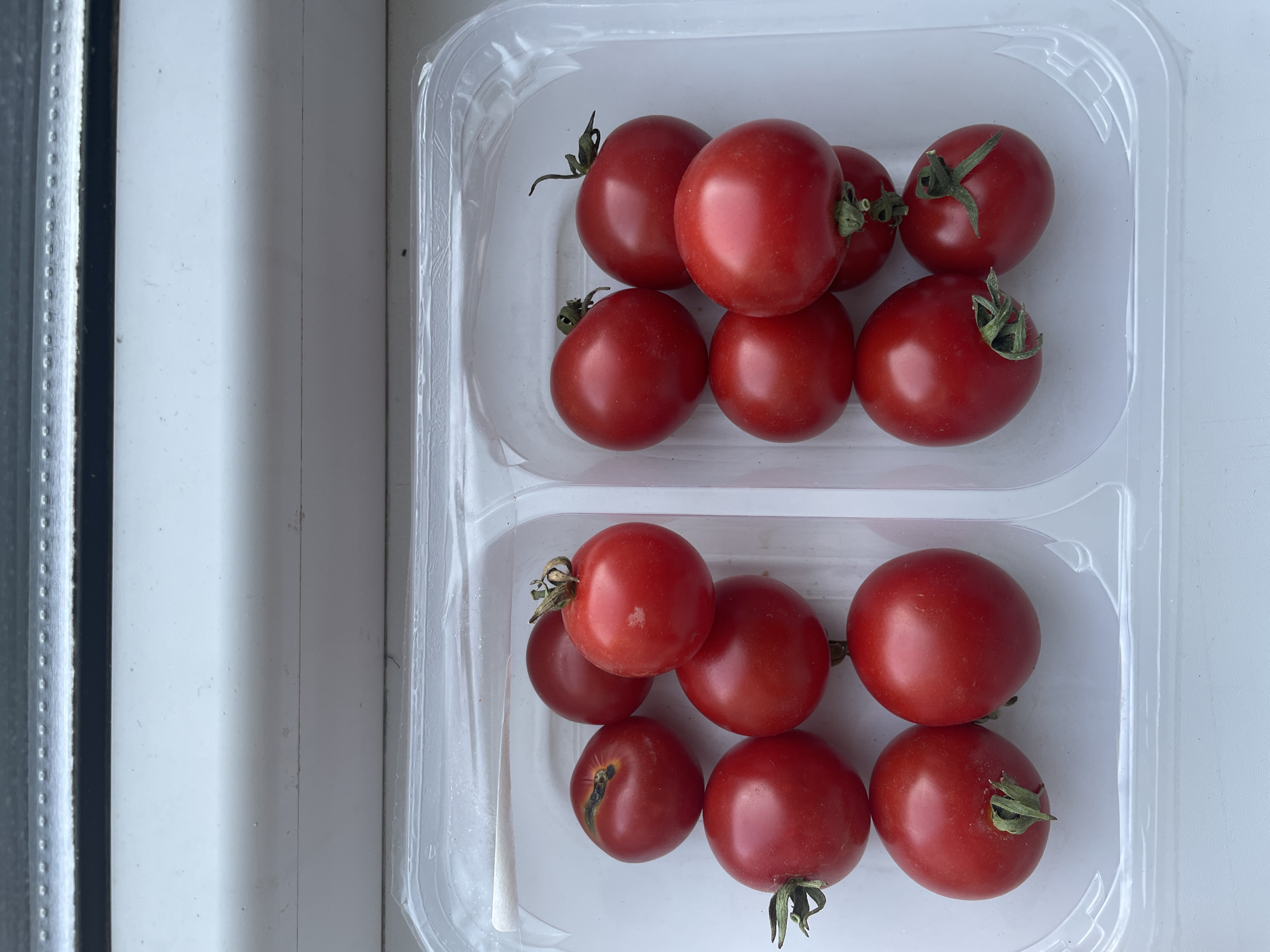 A clear plastic container holds numerous ripe, red cherry tomatoes. The container is divided into two sections. The left section contains six tomatoes, with one at the top left exhibiting a slight blemish. The right section contains eight tomatoes. The tomatoes are arranged in a somewhat scattered fashion within the container. The container sits on a white surface, likely a windowsill, with a black stripe above it, suggesting an indoor setting with natural light. The background is blurred, but the overall impression is one of a simple, domestic scene. The location in Almaty, Kazakhstan, is not discernible from the visual information provided in the image.