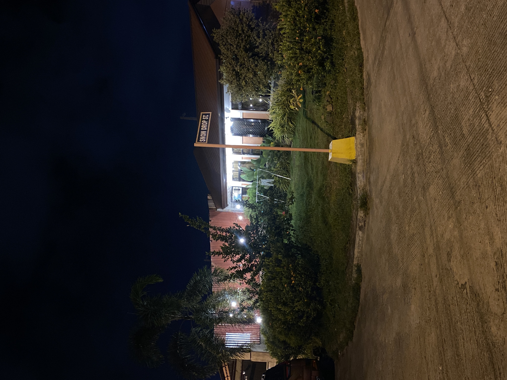 The image shows a street view at night in Davao City, Philippines, with a residential house on the right and a corrugated metal wall on the left. A street sign labeled "SNOW DROP ST." is prominently displayed in front of the house. The house has a brown roof and several windows, some of which are illuminated. Decorative string lights are visible hanging on the corrugated wall. A patch of lawn with various plants and bushes surrounds the house and the street sign. The foreground shows a concrete road with distinct parallel grooves. A portion of a dark-colored vehicle is visible on the far left. The overall scene suggests a quiet residential area at night.
