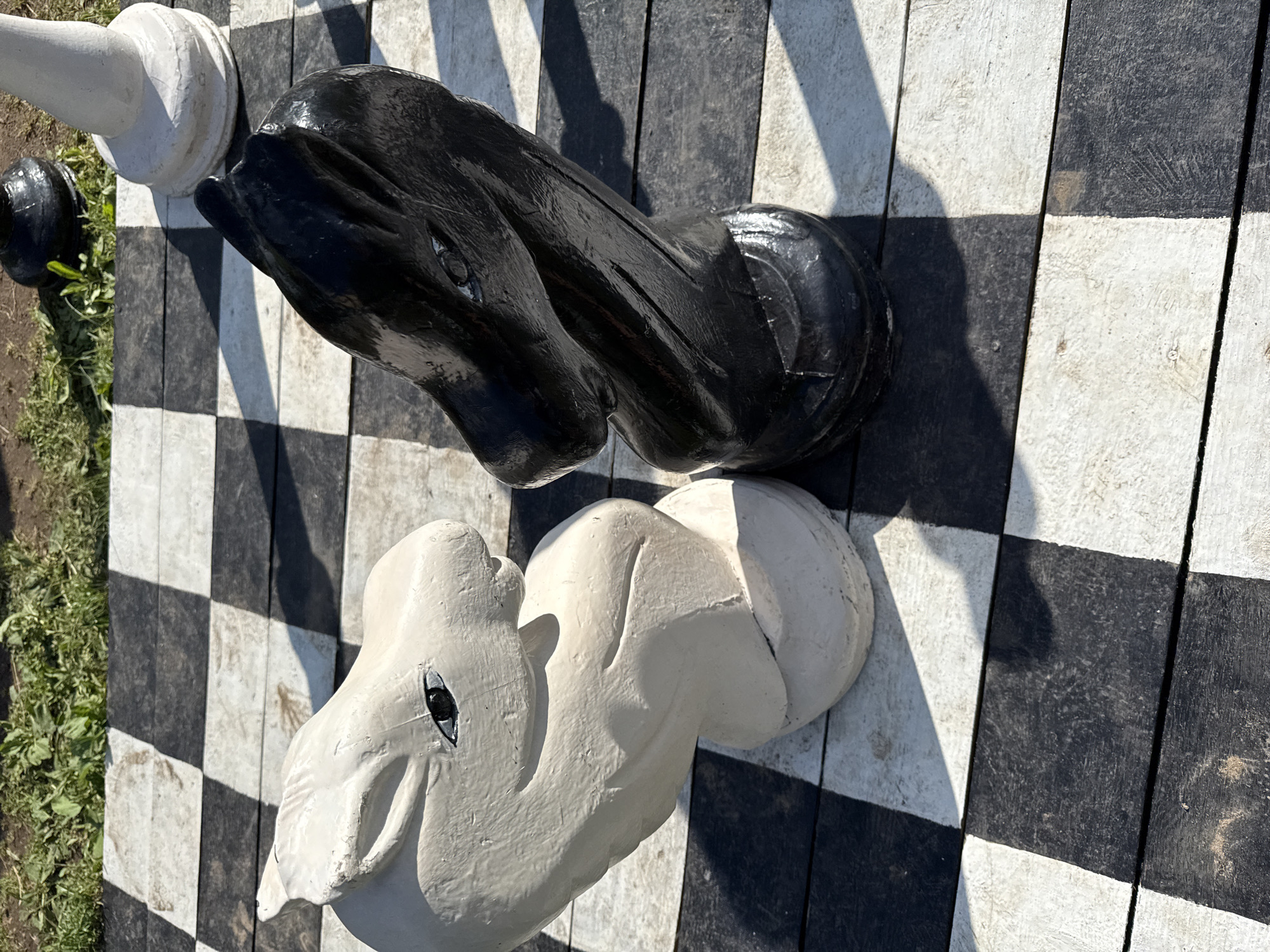 The image shows two oversized chess pieces, a white knight and a black knight, positioned on a wooden chessboard outdoors. The chessboard is laid out on a surface of dark and light squares. The white knight is on the left, facing right, with its head tilted slightly. The black knight is on the right, facing left, with its head also tilted. Both knights are detailed with visible eyes. In the background, there is green grass and blurry objects that appear to be other chess pieces. The scene is illuminated by sunlight, casting shadows. The setting is an outdoor location, potentially a park or recreational area, given the chess setup and the presence of grass. No people are visible in the image. The chessboard itself appears to be constructed from wooden planks.