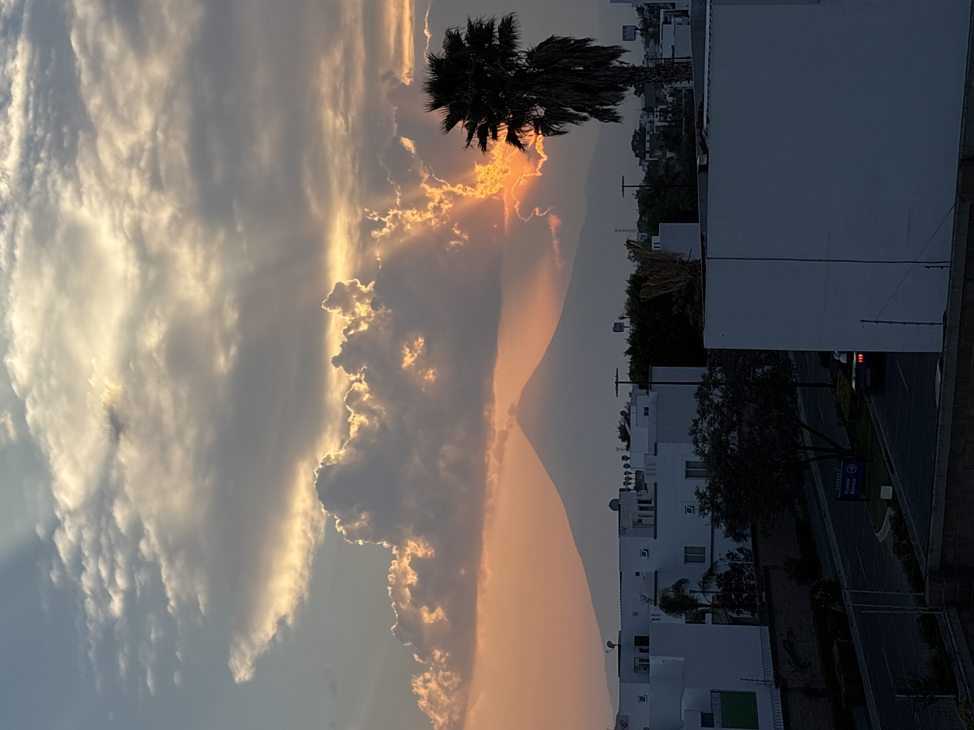 The image shows a view of San Bernardino Tlaxcalancingo, Mexico, at dusk. The sky is filled with clouds illuminated by the setting sun. In the center of the image, a mountain is visible, partially obscured by the clouds and sunset colors. A large palm tree is silhouetted against the sky and sunset. The lower right of the image shows a road with white buildings on either side. One building is quite large and square. A street sign with directions to "Puebla Blanca" is visible along the road. A car with illuminated red taillights is on the road.