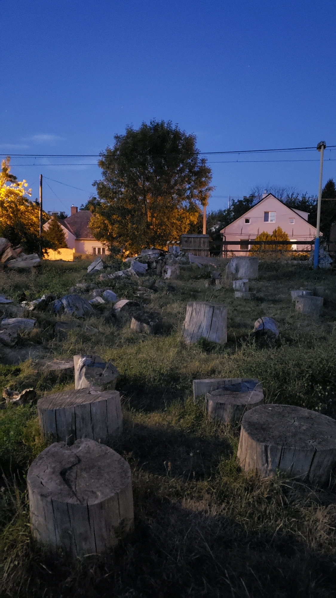 The image depicts a yard at dusk in Prešov, Slovakia, characterized by a scattering of tree stumps of varying sizes across a grassy area. In the background, two houses are visible, one with a pink facade and lit windows, and another smaller, light-colored house. A large tree with golden-tinged leaves stands between the houses. Utility poles and power lines are present, indicating an urban or suburban setting. The sky is a deep blue, transitioning from twilight. The scene appears to be an outdoor space, possibly a residential area or a park, with the tree stumps suggesting a recent or ongoing clearing of trees.