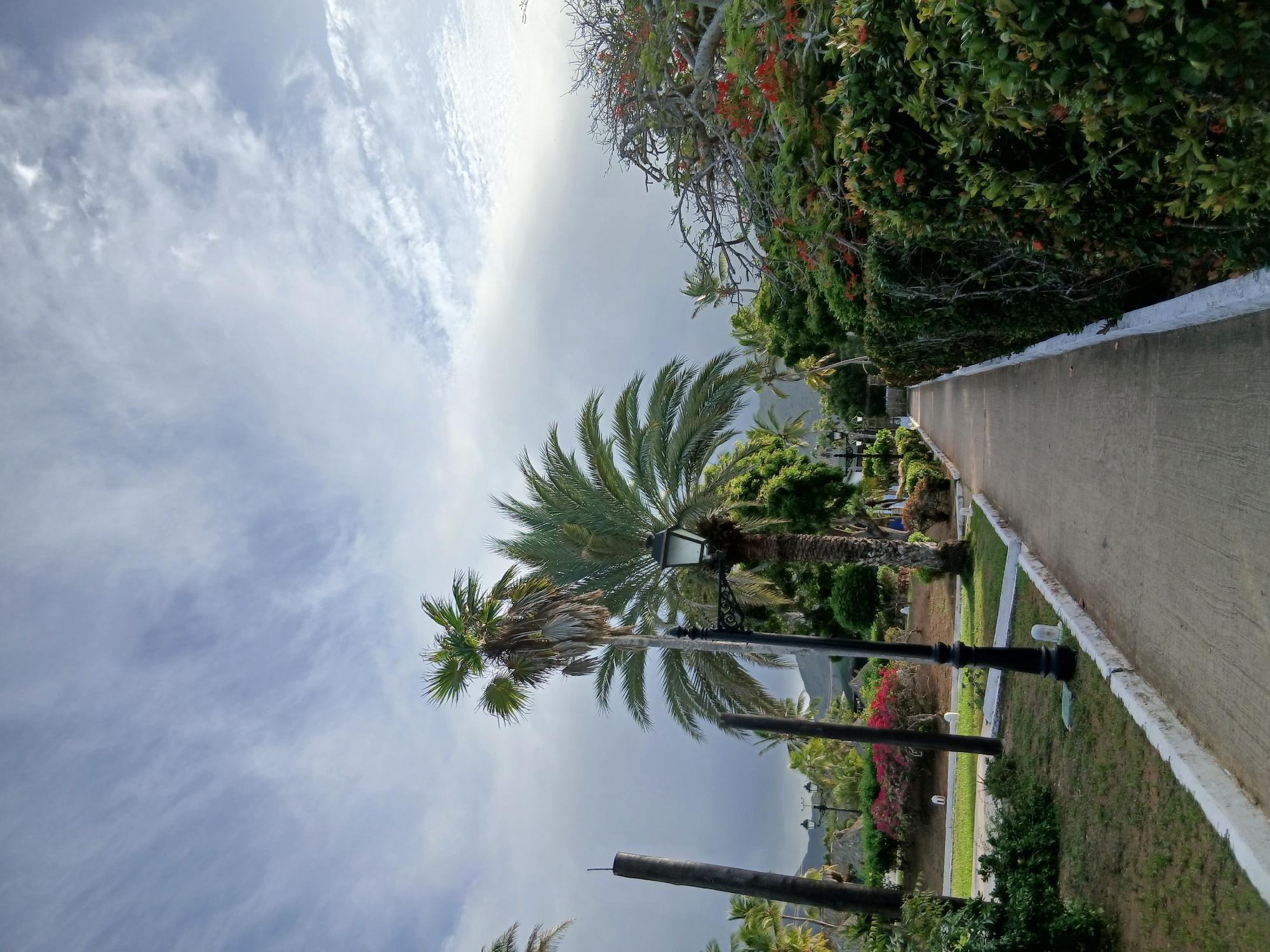 A concrete walkway curves through a park-like setting with lush green foliage and palm trees under a cloudy sky. The walkway is bordered by a low white curb on both sides, and grass areas with scattered white markers. On the left side, there are tall dark poles, one appearing to be a lamppost, and several smaller lampposts further back. In the background, there are mountains and what appear to be thatched-roof structures. The right side of the walkway is lined with a dense hedge of green bushes dotted with small red flowers and gnarled branches of a tree. The scene captures a peaceful outdoor environment in Playa El Agua, Venezuela.