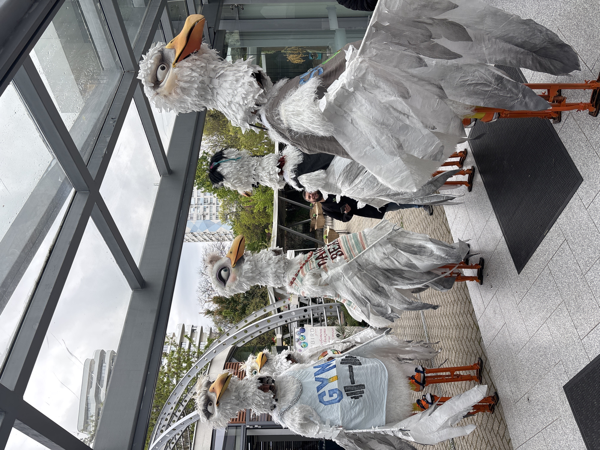 The image displays four large, anthropomorphic bird puppets arranged in a line under a modern glass-and-metal covered walkway in an urban setting. The puppets are primarily white, appearing to be constructed from layered paper or fabric to simulate feathers. They feature large, exaggerated orange beaks, detailed eyes, and somewhat surprised or dramatic expressions.
Each bird puppet is operated by a person whose legs are visible in orange stilts or frame-like structures that form the birds' legs. The first puppet on the left wears a light blue shirt with "GYM" and a barbell icon printed on it. The third puppet from the left has a striped accessory around its neck, possibly a vest or bag, with the partial text "BEA" in red letters.
The background shows modern buildings, some reflected in the glass roof, and green trees. A large, decorative metal archway stands behind the puppets. The ground is paved with light-colored tiles and dark rubber mats. The lighting suggests it is daytime, with an overcast sky. A sign behind the puppets includes the English word "BIRD" and additional text in Cyrillic script, consistent with the Burgas, Bulgaria location context. The scene depicts a public performance or exhibition.