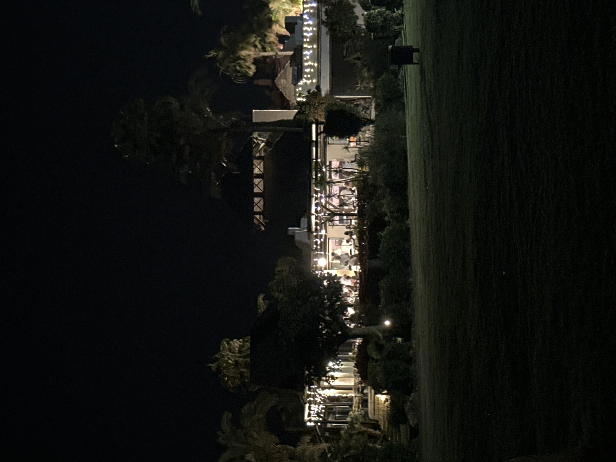 This image depicts an outdoor scene at night, likely in Estepona, Spain. The primary subjects are buildings illuminated by numerous string lights, creating a festive and inviting atmosphere. These buildings appear to be part of a resort or a commercial area, possibly a restaurant or a series of shops, with people visible inside and around them, suggesting social activity. Lush green trees and palm trees are scattered throughout the scene, providing a tropical or Mediterranean feel, consistent with a Spanish location.
The lighting suggests it is after sunset, and the overall ambiance is lively and warm, possibly indicative of an evening gathering or a busy period for the establishment. The presence of a well-maintained grassy area on the right side of the image implies an outdoor recreational space. There are no visible text elements in the image. The composition, with the buildings and trees occupying the left and center portions, and the open grassy field on the right, creates a balanced and visually appealing scene.