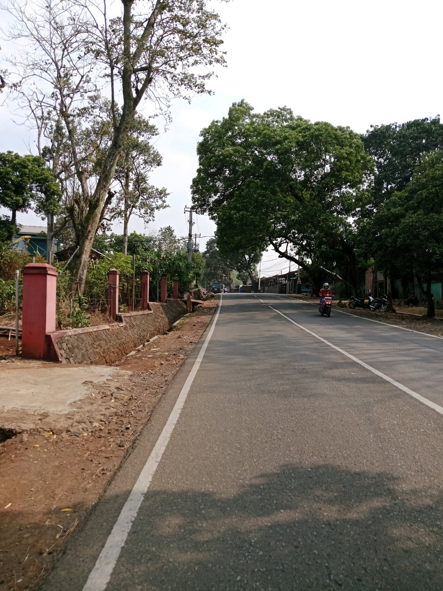 The image captures a segment of a two-lane asphalt road with a white line dividing the lanes, located in Cilaku, Indonesia. The road curves slightly to the left and extends into the distance. On the left side of the road, there is a raised concrete sidewalk adjacent to a low, stone-and-mortar wall topped with red-painted square posts and wire fencing. Beyond the wall, dense vegetation and trees are visible, with a building partially obscured by foliage. A tall, bare-branched tree stands prominently on the left.
On the right side of the road, a motorcycle rider wearing a red jacket is proceeding forward. Two parked motorcycles are visible further down the road on the right shoulder. A utility pole with wires is situated amidst the trees. The environment is characterized by lush greenery and trees lining the road, with a clear, overcast sky. The overall impression is that of a road in a semi-rural or suburban area, possibly on the outskirts of a town.