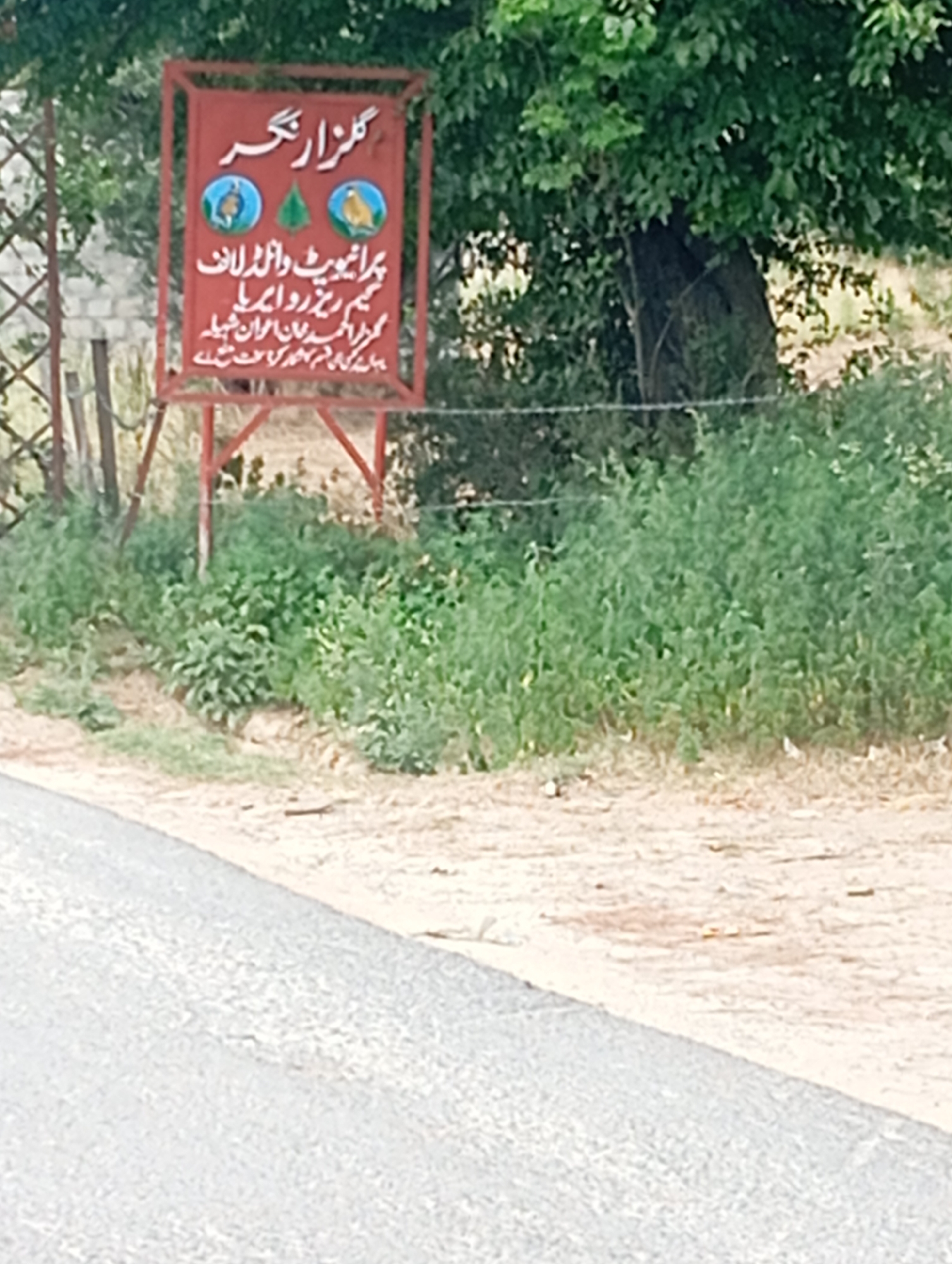 A red signpost with white lettering is positioned in front of a tree with green foliage and behind a grassy area. The sign features three circular images: one depicting two birds, another a green triangle, and the third a bird in flight. The lettering on the sign is in Urdu, with the top line reading "گلزار نگر." Below this, there is text that appears to be a name or title. Further down, more Urdu text is present, which is difficult to decipher fully due to image resolution. The sign is supported by a red metal frame. The environment appears to be outdoors, possibly in a rural or park-like setting in Lassan, Pakistan, given the presence of the sign with Urdu script and the natural elements. The ground in front of the sign is covered in dry grass and dirt, and a paved surface, possibly a road, is visible in the foreground.