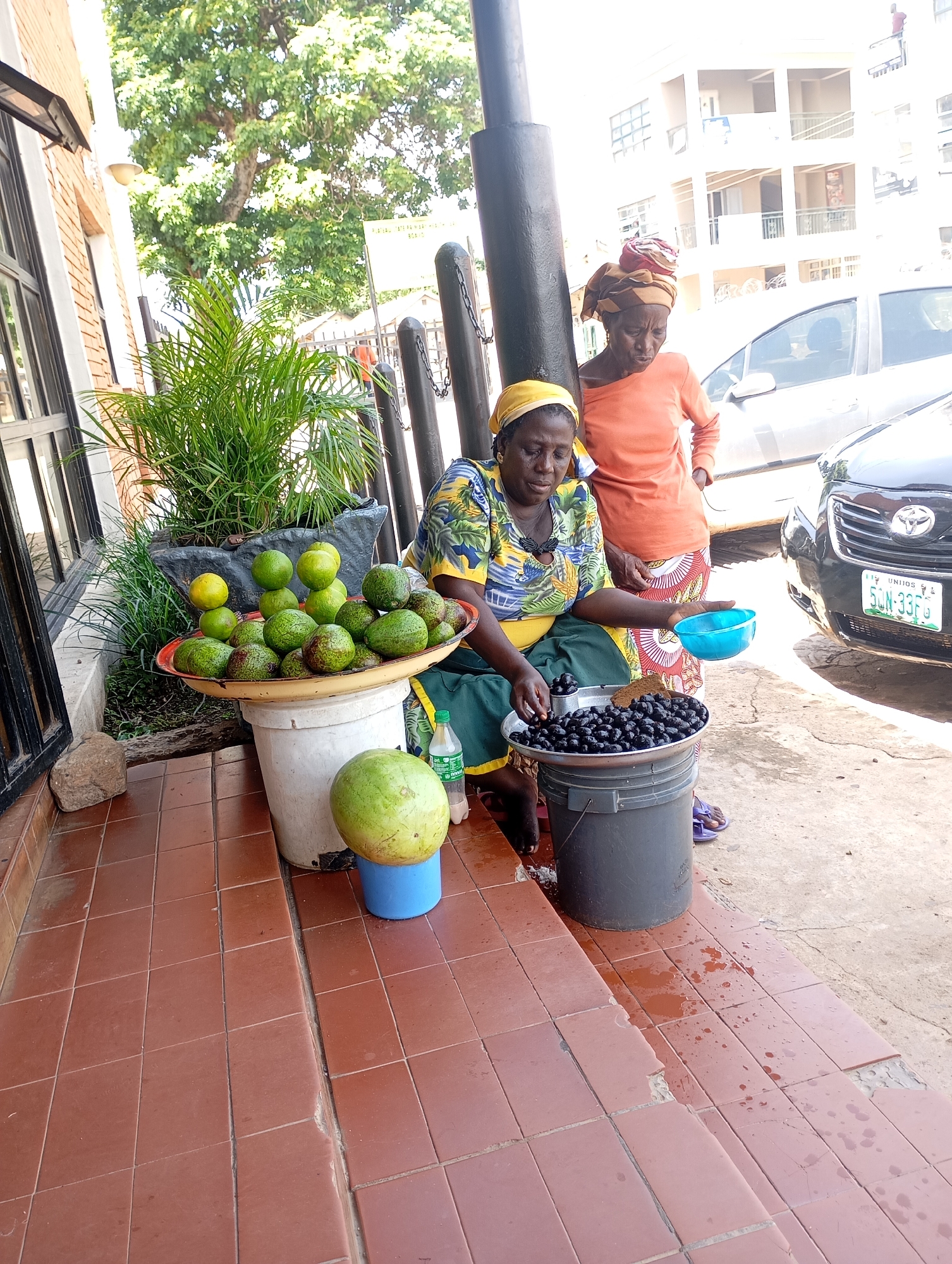 Two women are seen at a street market in Jos, Nigeria. The woman in the foreground, wearing a colorful patterned dress and a yellow headscarf, is seated and appears to be selling produce. She is holding a small blue bowl and examining a tray full of dark, round fruits, possibly dates or olives, while a larger tray of green fruits, likely avocados and limes, is placed on a white bucket beside her. A large, green, spherical fruit, possibly a melon, sits on a blue base to her right.
The second woman, standing behind the seated woman, wears an orange long-sleeved shirt and a patterned headscarf. Her stance suggests she is also involved in the market activity, possibly assisting or waiting.
The setting is outdoors, with a tiled floor and a brick wall to the left, suggesting a storefront or walkway. A large plant in a dark pot is visible behind the fruit display. In the background, a car with a Nigerian license plate reading "5LN-33FG" is parked, and a multi-story building can be seen. The lighting indicates it is daytime, with bright sunlight casting shadows. The overall atmosphere is that of a typical bustling street market.