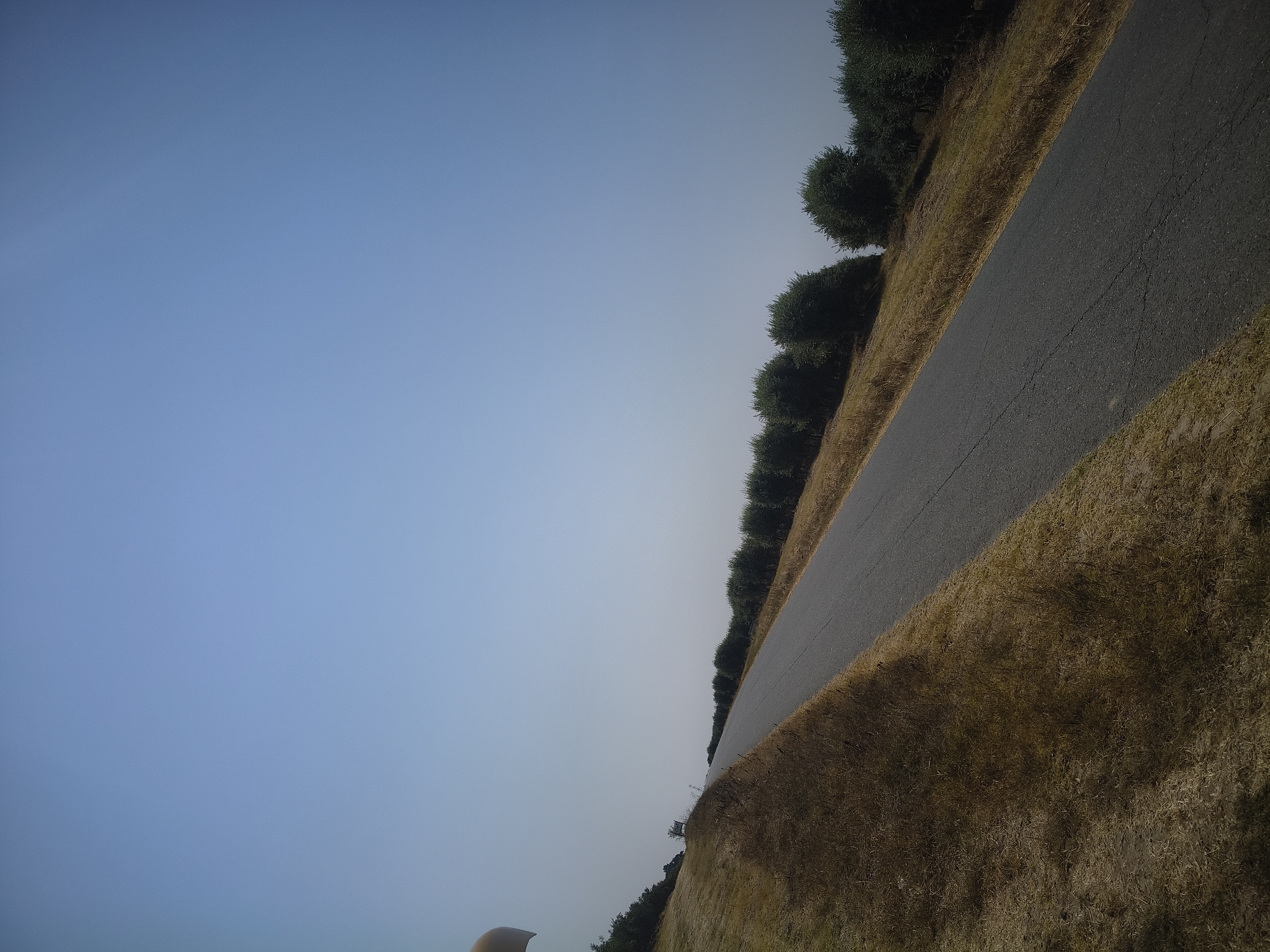 The image depicts a paved road winding uphill through a dry, grassy landscape with a clear blue sky overhead. A line of trees, possibly olive trees, borders the right side of the road, extending into the distance. The dry grass on the left side of the road suggests a warm, arid climate. A light-colored object, possibly part of a hot air balloon or a similar airborne structure, is partially visible in the upper left corner. The scene appears to be a rural or semi-rural setting. The location is identified as Ferreira do Alentejo, Portugal.