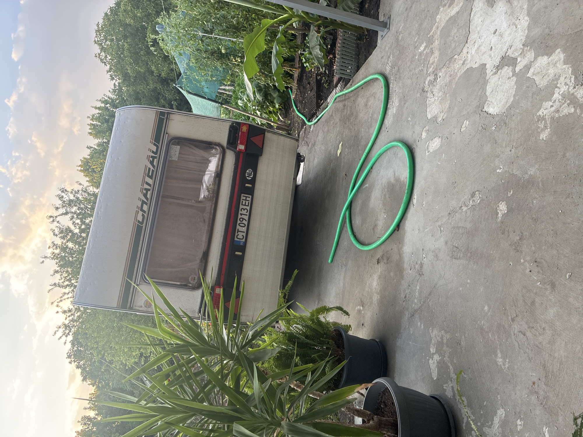 The image depicts an outdoor scene, likely in the city of Koniovo, Bulgaria, featuring a white caravan. The caravan is parked on a concrete surface and has a license plate with the text "CT 0913 EH". To the left of the caravan, several potted plants are visible, including a large yucca plant and a fern. A green garden hose is coiled on the ground in front of the caravan, extending towards a garden area in the background. The garden area contains various plants, including what appears to be a banana tree, and is partially covered by a green netting. The background consists of lush green trees, and the sky above is partly cloudy with the sun setting, casting a warm light. The concrete surface shows signs of wear and tear with patches of exposed aggregate. There are no people or animals visible in the image.