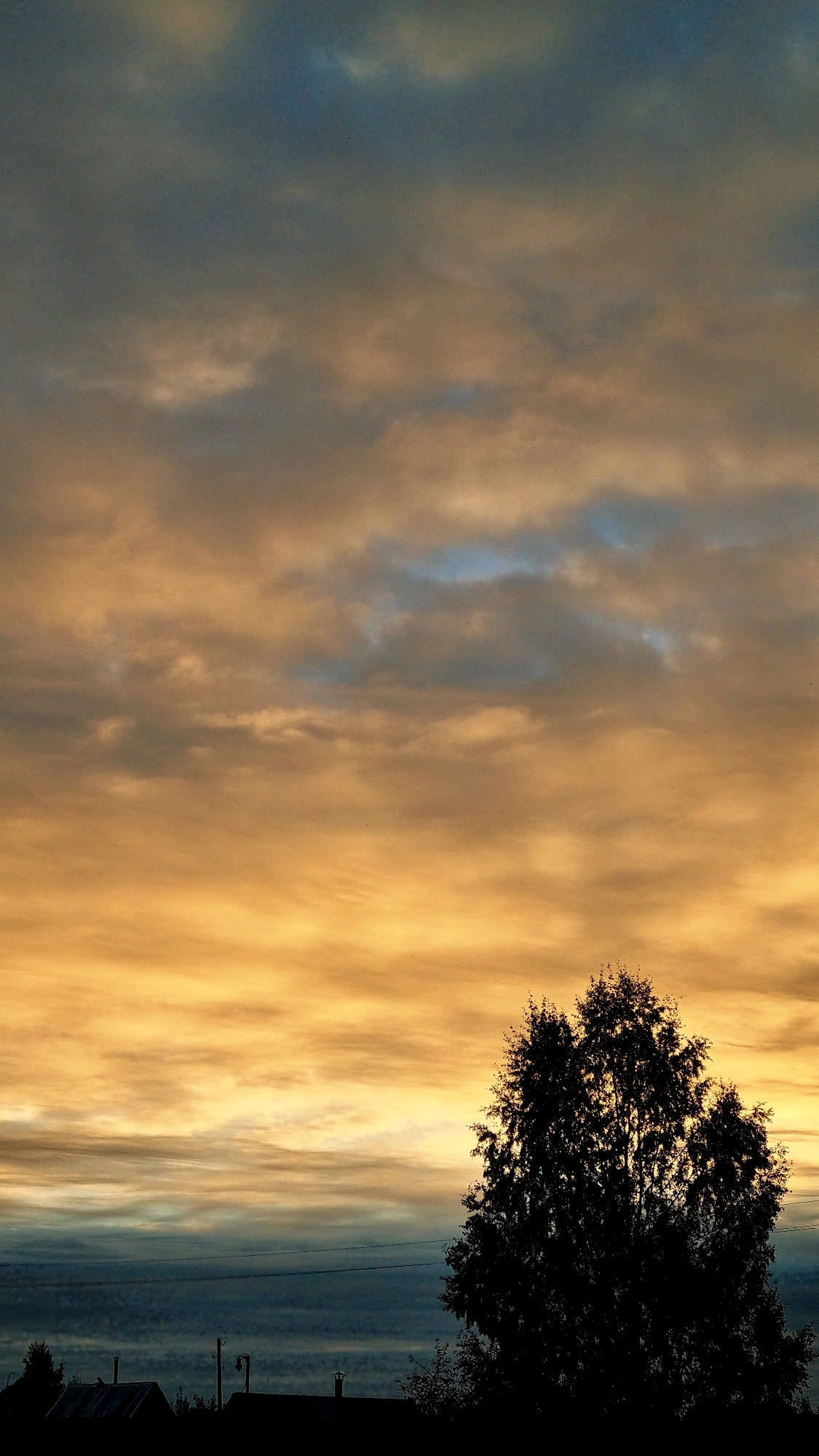 The image depicts a twilight scene, likely in the city of Vysokoe, Russia. The sky is filled with a dramatic interplay of clouds, illuminated by the setting sun, creating a gradient of warm oranges and yellows towards the horizon, contrasting with cooler blues and grays higher up. A large, silhouetted tree dominates the right side of the frame, its dense foliage obscuring the sky behind it. Below the tree, the dark outlines of several small buildings, possibly houses, are visible along the horizon. Utility lines stretch across the mid-ground, contributing to the rural or suburban feel of the location. The overall atmosphere is one of calm and transition as day gives way to night.