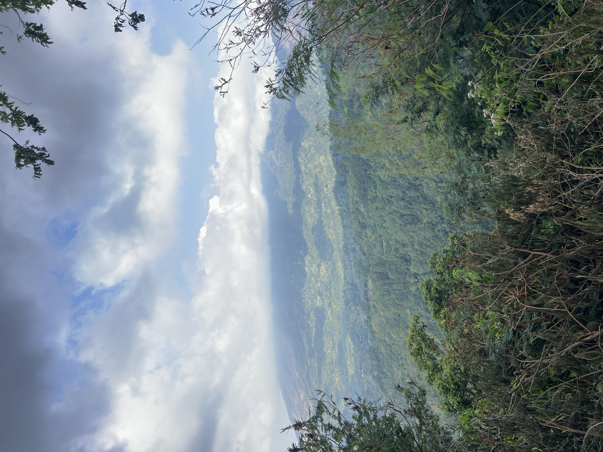 This is a landscape photograph taken from a high vantage point, looking out over a lush, green valley and a distant mountain range. The foreground is dominated by the branches and foliage of trees and bushes, creating a natural frame for the scene. The valley below is a patchwork of green fields and scattered settlements, with the terrain sculpted by hills and ravines. The distant mountains are partially obscured by clouds and mist, adding a sense of depth and mystery to the image. The sky above is a mix of blue sky and dramatic, swirling clouds, suggesting dynamic weather conditions. The overall impression is one of natural beauty and tranquility. The location is likely in the mountainous region surrounding Kubu, Indonesia, known for its fertile volcanic slopes and expansive vistas.