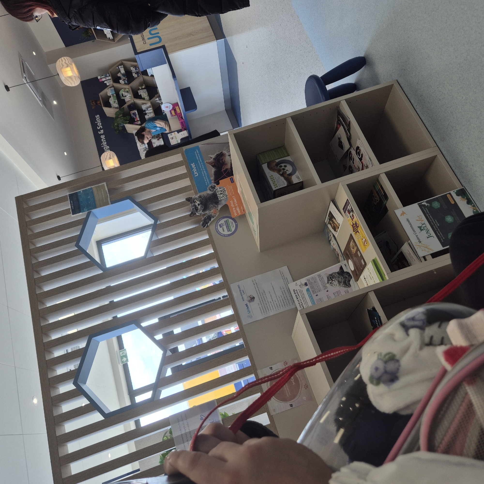 A photograph shows a person in what appears to be a veterinary clinic, likely in Geispolsheim, France. The scene is an interior shot of a brightly lit waiting area. In the foreground, one sees the top of a pet carrier with a white cloth inside, decorated with blueberry designs. The person holding the carrier is visible only partially, with a hand in the bottom left.
To the left, there's a decorative wooden divider with hexagonal window cutouts. The outside light suggests it's daytime. Mounted on the divider are advertisements and information pamphlets, including some featuring cats, such as "Univet NOS HONORAIRES CHAT" and "Votre chat vieillit-il bien?".
Behind the divider is a shelving unit with various products and reading materials related to pet care. Visible items include boxes of "SENSES 2.0 Catit" cat food and promotional materials from "JUNGLE Vet." On the left, one can see part of a counter with the "CLINIQUE" logo, indicating the clinic's name.
In the background, a person with red hair stands near the counter. Overhead lighting, consisting of modern pendant lamps, illuminates the area. The floor appears to be a light-colored, speckled surface. The image seems to have been taken at an angle, giving a slightly tilted perspective.