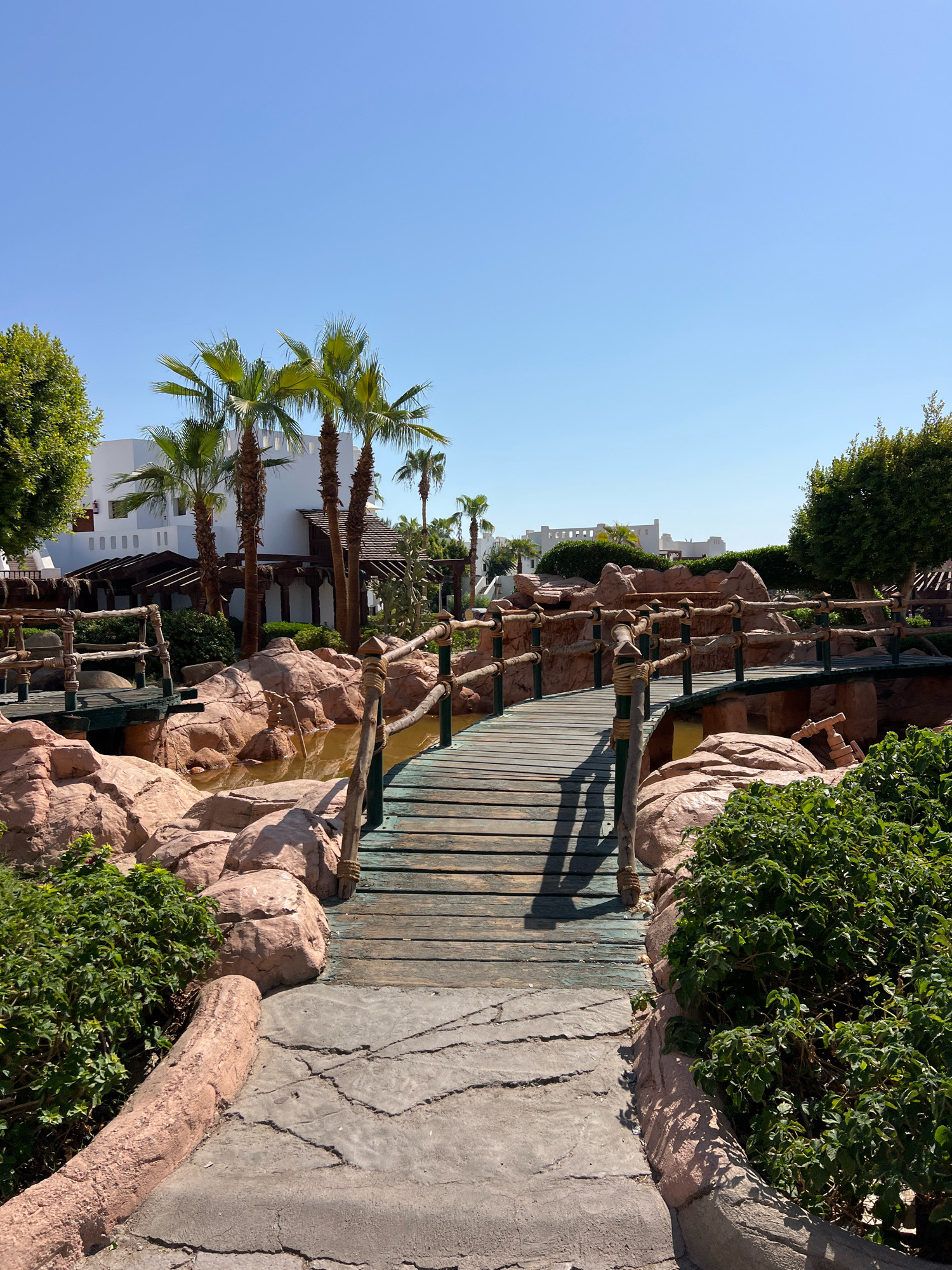 The image depicts a resort in Sharm El Sheikh, Egypt, featuring a charming wooden bridge arching over a man-made stream with rocky banks. Palm trees and lush green bushes surround the area, with white resort buildings visible in the background under a clear blue sky. The bridge, constructed from weathered wooden planks, has rustic rope railings supported by wooden posts. The water in the stream appears calm and slightly murky. The overall scene suggests a tranquil and well-maintained outdoor space within a resort environment.