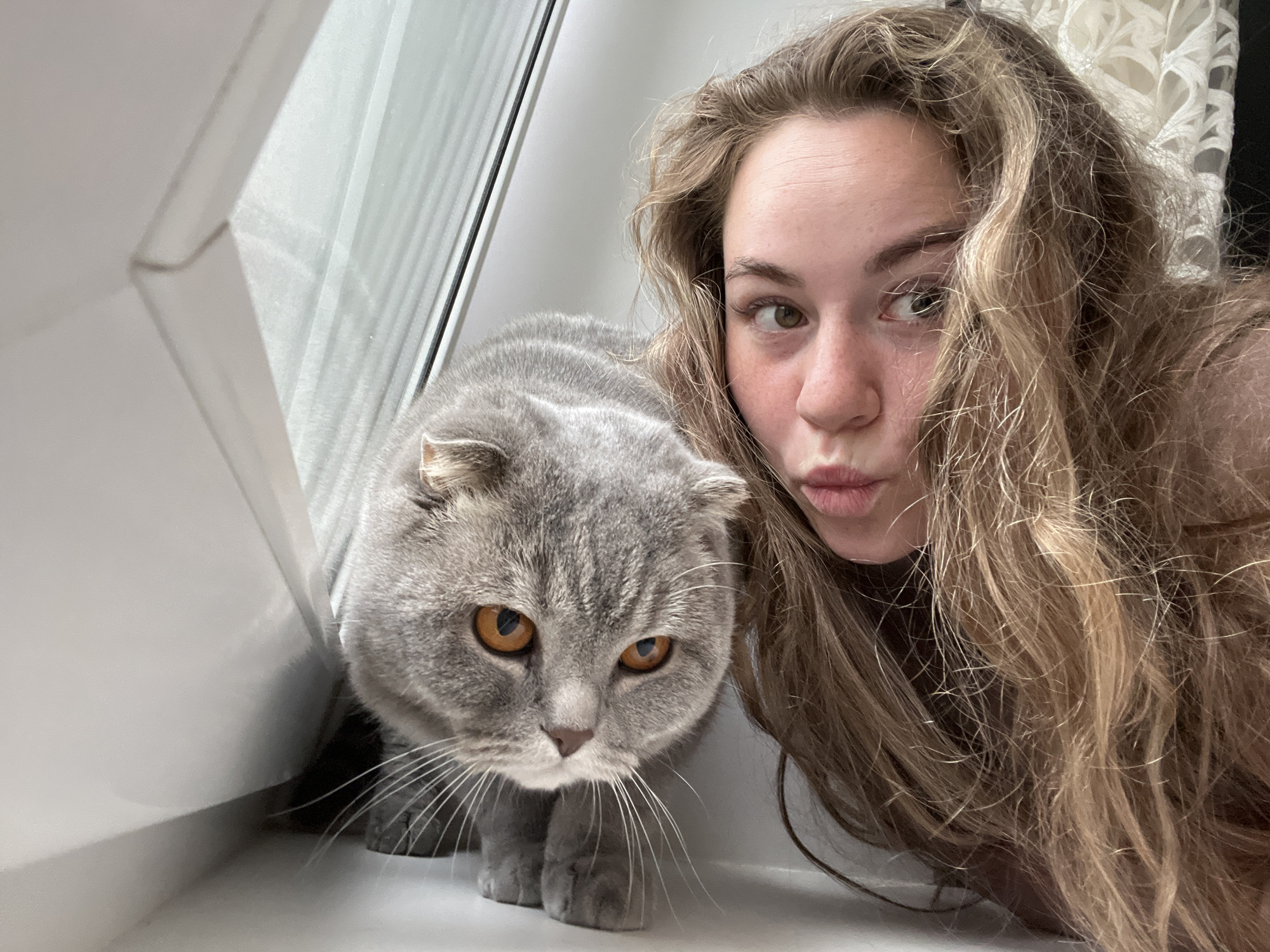 A selfie taken indoors, likely in an apartment, shows a young woman and a gray Scottish Fold cat. The woman has long, wavy blonde hair and is making a "duck face" expression. The cat is positioned to her left, near a white window frame and has orange eyes. Based on the metadata or context clues not available here, this image purportedly originates from the city of Chaikovsky, Russia. The room appears to be well-lit. A patterned curtain is visible in the background to the right.