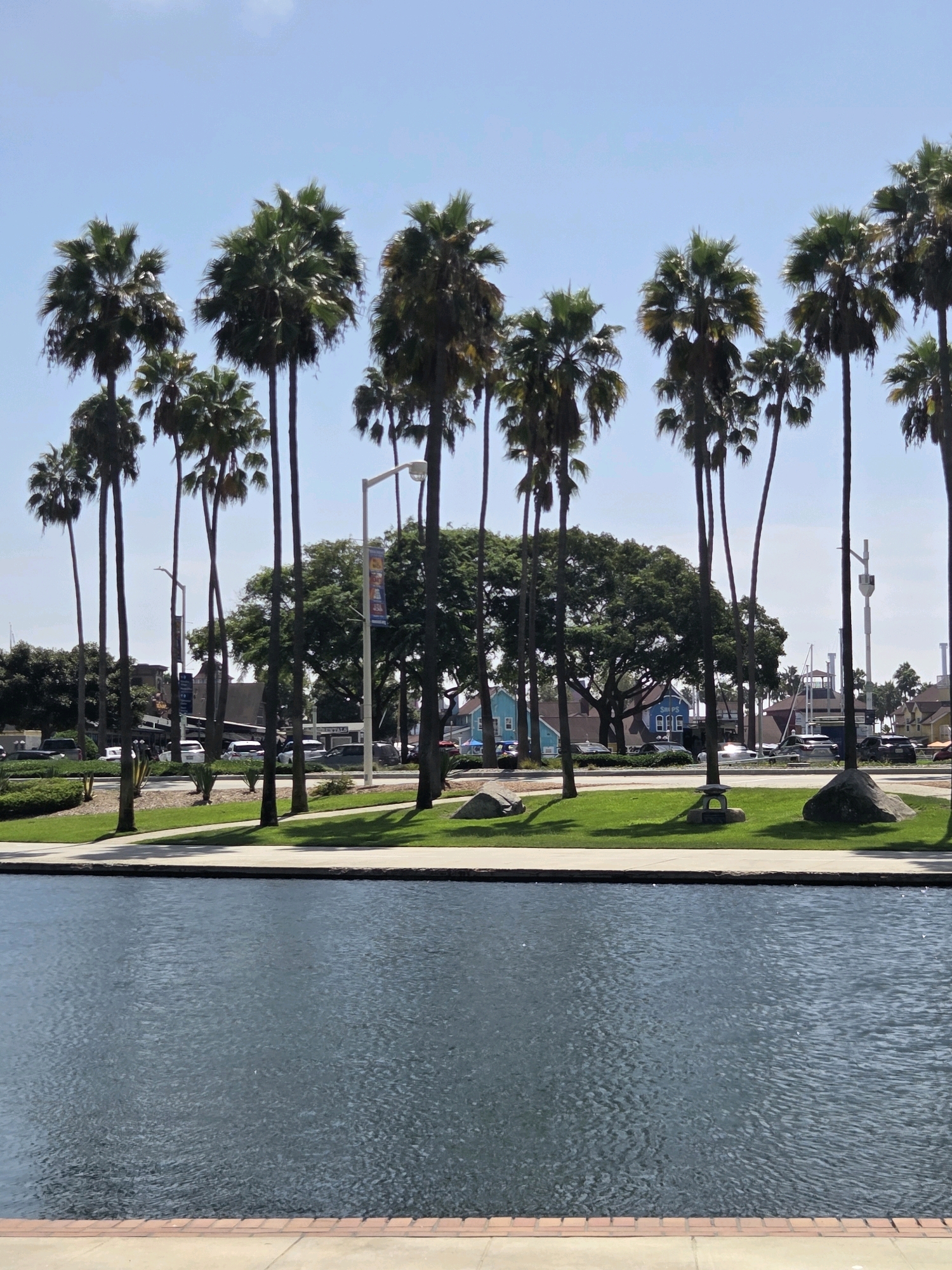 This is a landscape photograph taken in Long Beach, California, United States of America, featuring a canal lined with palm trees. The canal occupies the foreground of the image, its dark blue water reflecting the sky and the surrounding palm trees. A brick border separates the canal from a paved walkway and a well-maintained grassy area with shadows cast by the palm trees. In the middle ground, a row of tall palm trees stands against a clear blue sky. Beyond the palm trees, a street is visible with parked cars and some buildings, including colorful houses and a larger structure that appears to be a commercial building. The background reveals more buildings and distant trees, suggesting an urban or suburban coastal environment. The overall scene depicts a sunny day with a relaxed, tropical ambiance.