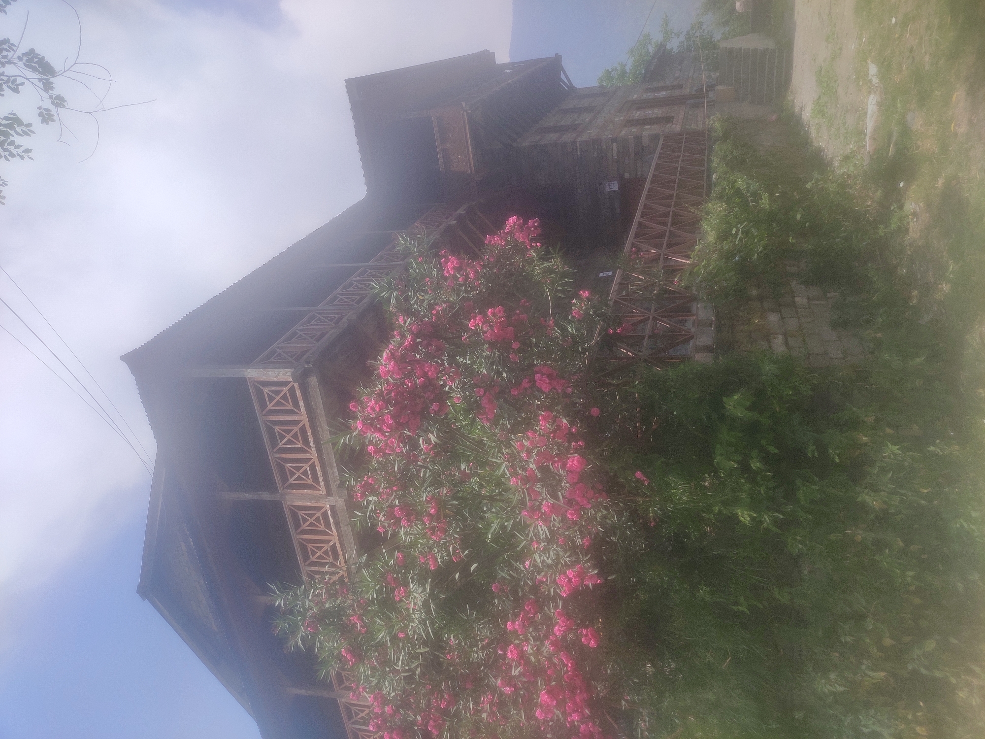 The image depicts a weathered, multi-story building constructed with stone and wood, situated in Naggar, India. The architecture features wooden balconies with intricate geometric railings. In the foreground, a large, bushy plant with vibrant pink flowers is in full bloom, partially obscuring the lower levels of the building. The building appears to be set against a backdrop of hills, with a hazy, overcast sky. A set of stone stairs leads up to the building's entrance from a dirt path. The overall scene suggests a rural or semi-rural setting, likely a guesthouse or residential property. There are no people or animals visible in the frame. The image is slightly overexposed, with a soft focus effect, particularly noticeable in the lower portion of the frame.