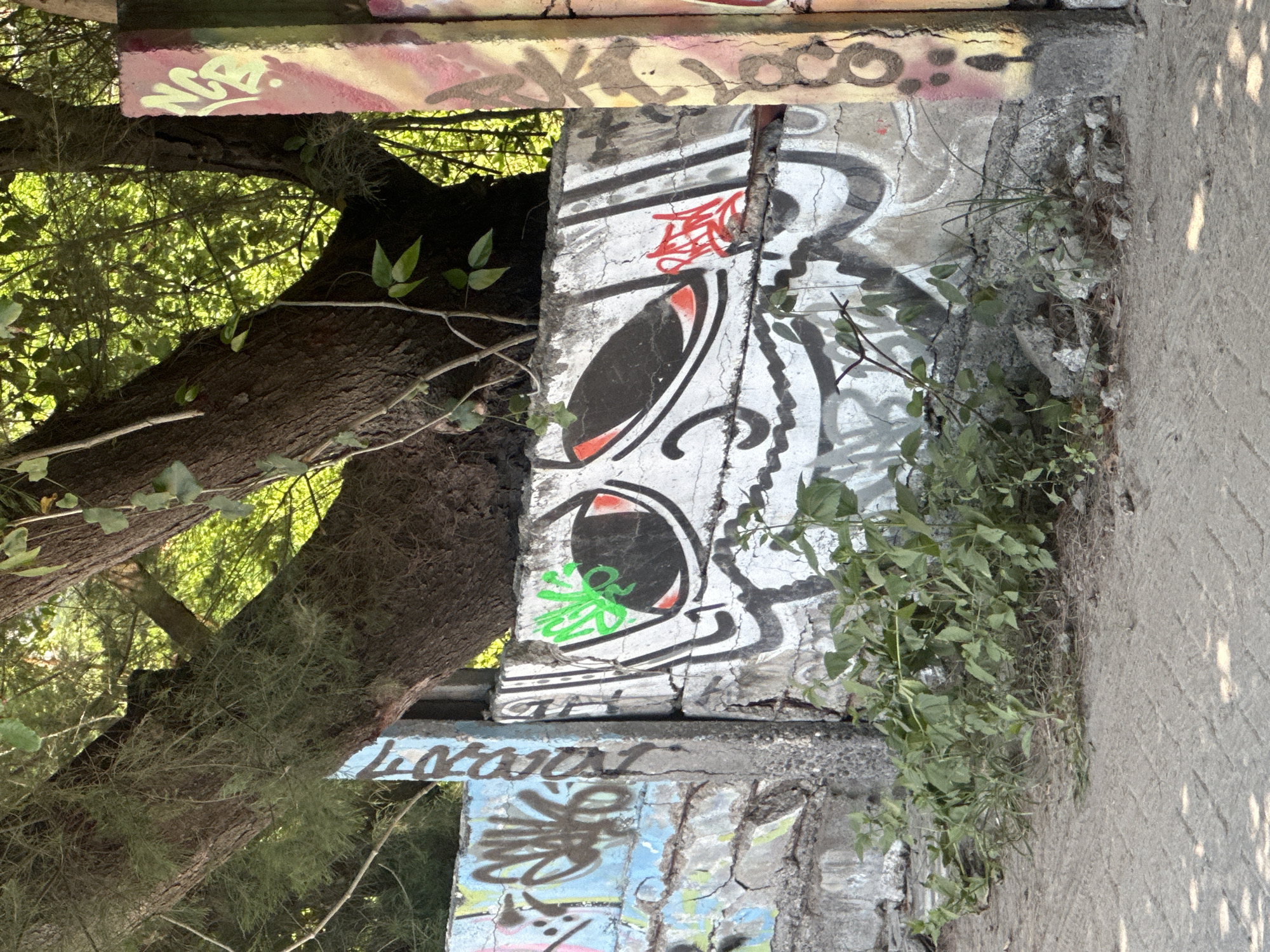 A color photograph shows graffiti art on a concrete wall situated beside a tree in an outdoor setting. The wall is divided into sections, with various graffiti designs adorning each part. The graffiti art includes stylized images of eyes, patterns, and text, painted with vibrant colors such as red, green, blue, and black. A tree trunk with green leaves is positioned adjacent to the wall, partially obscuring the graffiti art. The ground next to the wall appears to be made of concrete and is covered with small plants and debris. The overall scene suggests an urban environment where street art intersects with nature. The photo is oriented vertically, with the top of the wall extending beyond the top edge of the image. The location is Unknown, Indonesia.