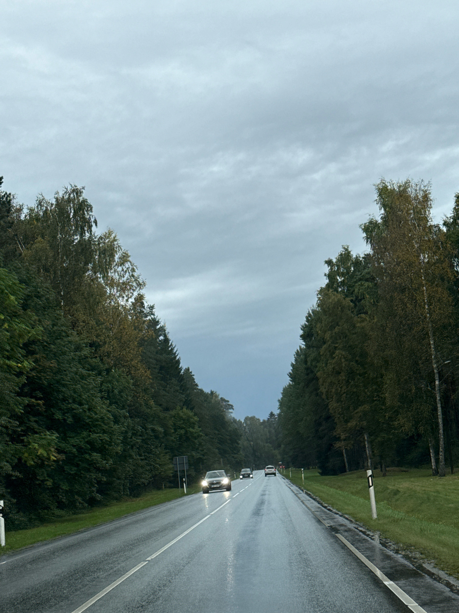 This is a point-of-view shot from inside a vehicle driving on a wet, two-lane road bordered by dense, green forest on both sides. The sky is overcast with grey clouds. Several vehicles are visible on the road ahead, all appearing to be traveling in the same direction. The road surface is wet and reflective, indicating recent rain. The surrounding trees are a mix of deciduous and coniferous, with some showing hints of autumn colors. The overall scene suggests a drive through a rural or suburban area in Saku, Estonia, likely during the daytime under cloudy weather conditions.