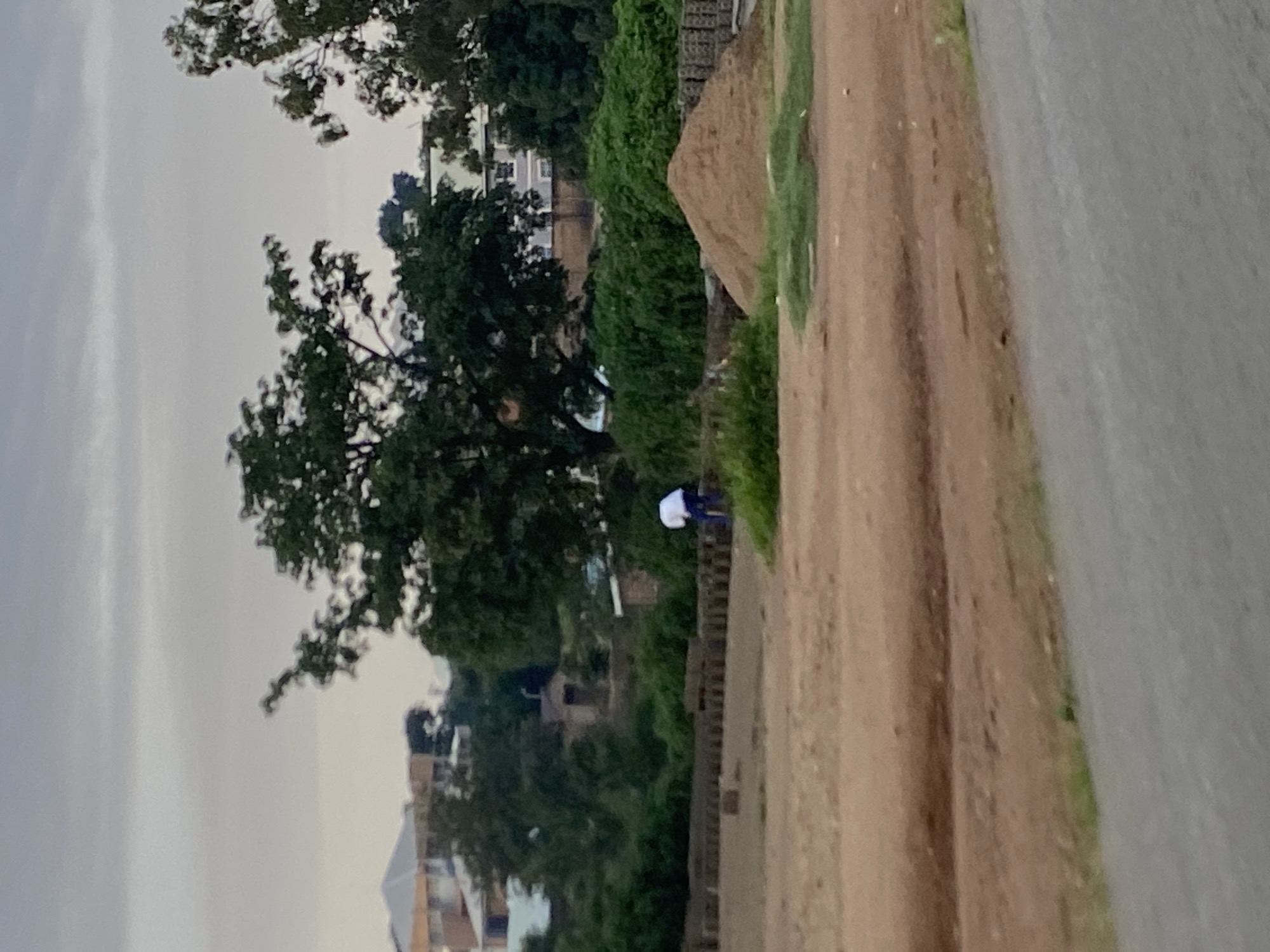In Gwong, Nigeria, on a cloudy day, a person wearing a white shirt and blue pants is seen bending over in a dirt-filled area. The ground is covered in reddish-brown dirt with patches of green grass. To the left of the person, there are rows of what appear to be bricks or concrete blocks, partially obscured by vegetation. Further to the left, a large green tree stands prominently. In the background, several buildings with orange and white facades are visible, nestled among dense green foliage. To the right of the person, a large pile of sand or dirt has been accumulated. The scene suggests an outdoor industrial or construction site.