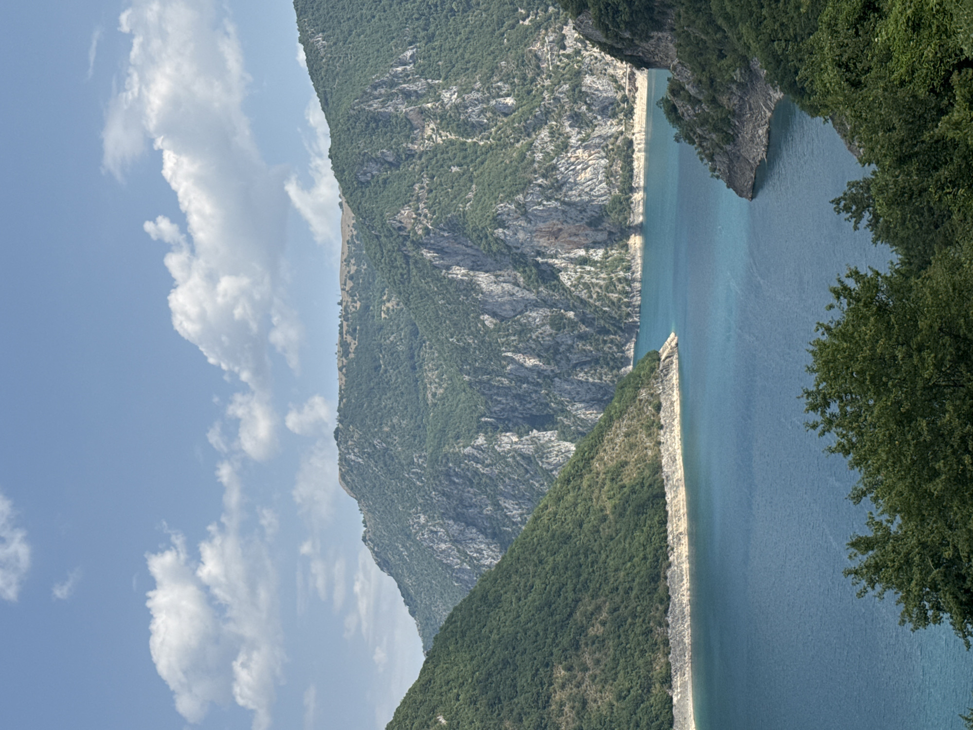 The image captures a scenic view of the Piva Lake, a reservoir situated near Plužine, Montenegro. The lake, with its vibrant turquoise waters, is surrounded by steep, rugged mountains covered in lush green vegetation. The rocky cliffs of the mountains are prominent, showcasing varying textures and geological formations. White, fluffy clouds dot the clear blue sky, adding depth and contrast to the landscape. The foreground features dense green trees, partially obscuring the view and framing the expansive vista of the lake and mountains. The scene conveys a sense of natural grandeur and tranquility.