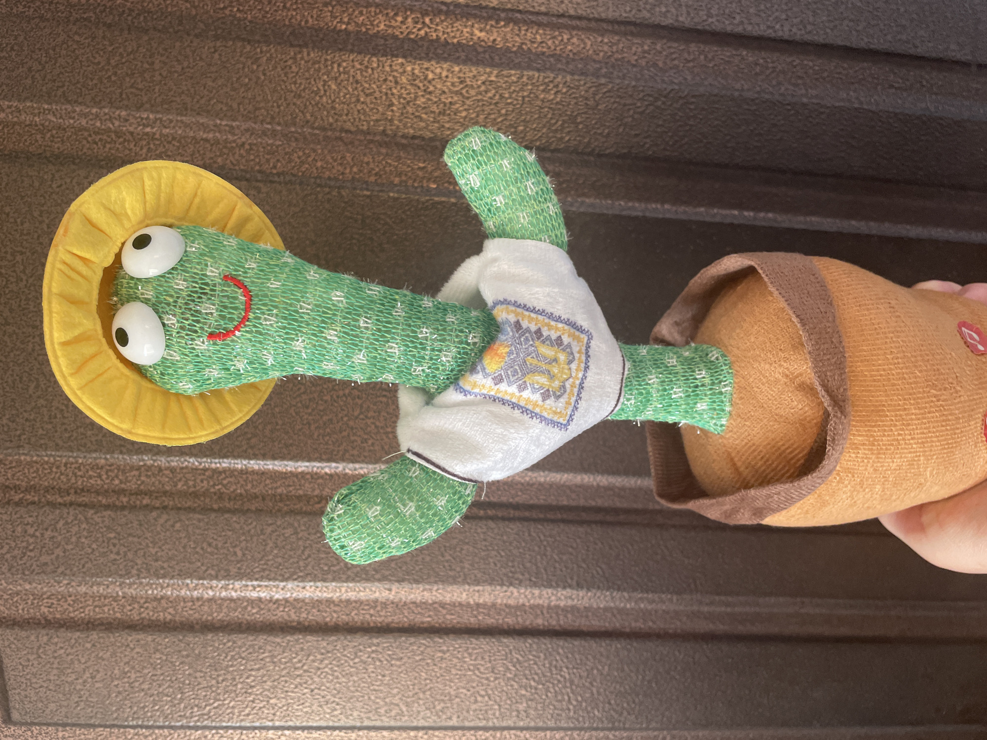 A plush toy cactus wearing a yellow hat and a white shirt with embroidered designs is held up in front of a brown, corrugated metal surface. The cactus has googly eyes and a red smile. The pot the cactus is in is orange and brown. A person's hand is visible holding the bottom of the pot. The image was taken in Shpykolosy, Ukraine.