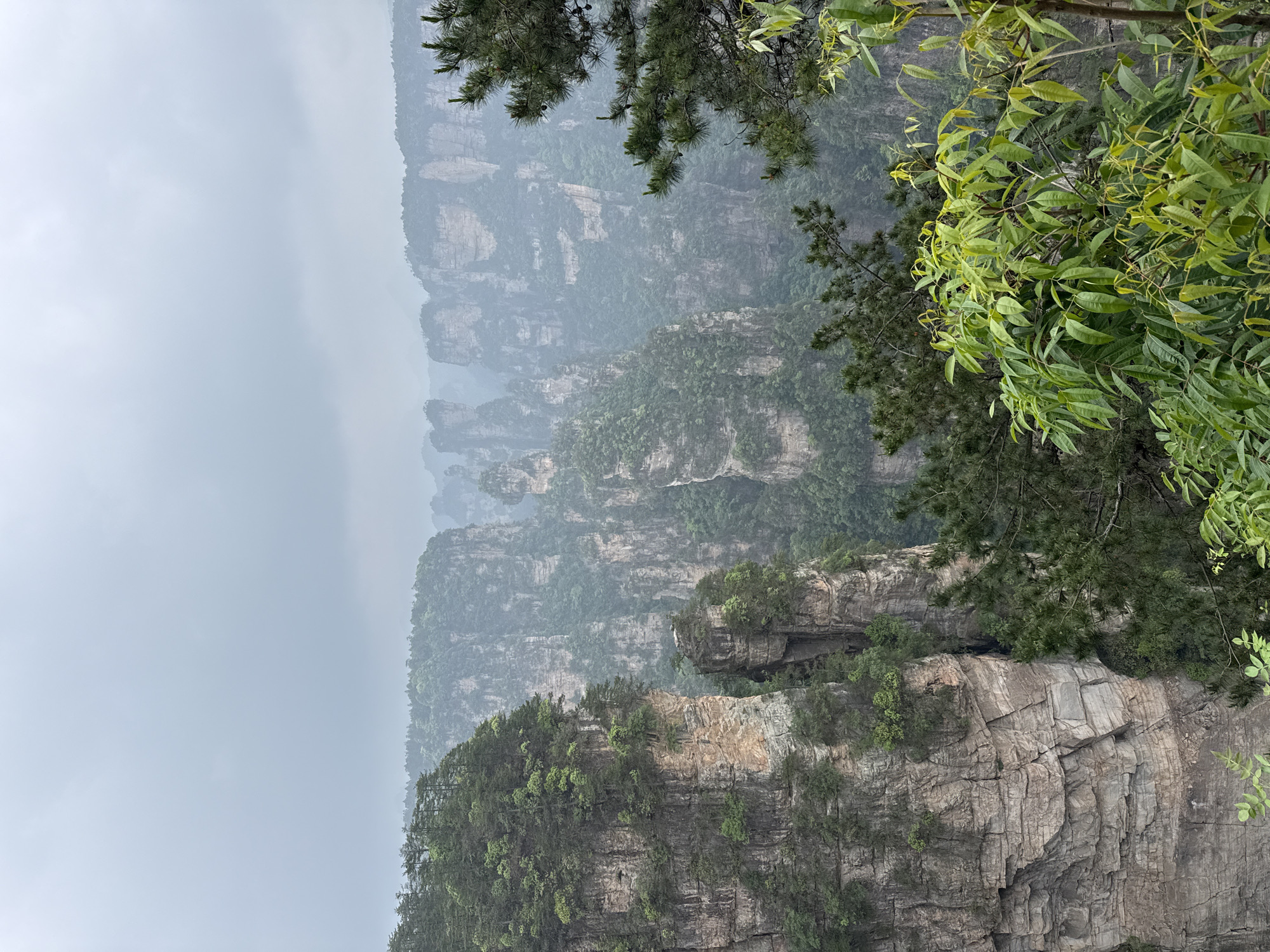The image shows a mountainous landscape in the Zhangjiajie National Forest Park, Luoguta, China. The landscape features tall, narrow sandstone pillars and peaks shrouded in mist. Vegetation is visible on the rock formations and in the foreground. The sky is overcast. No people are visible in the image.