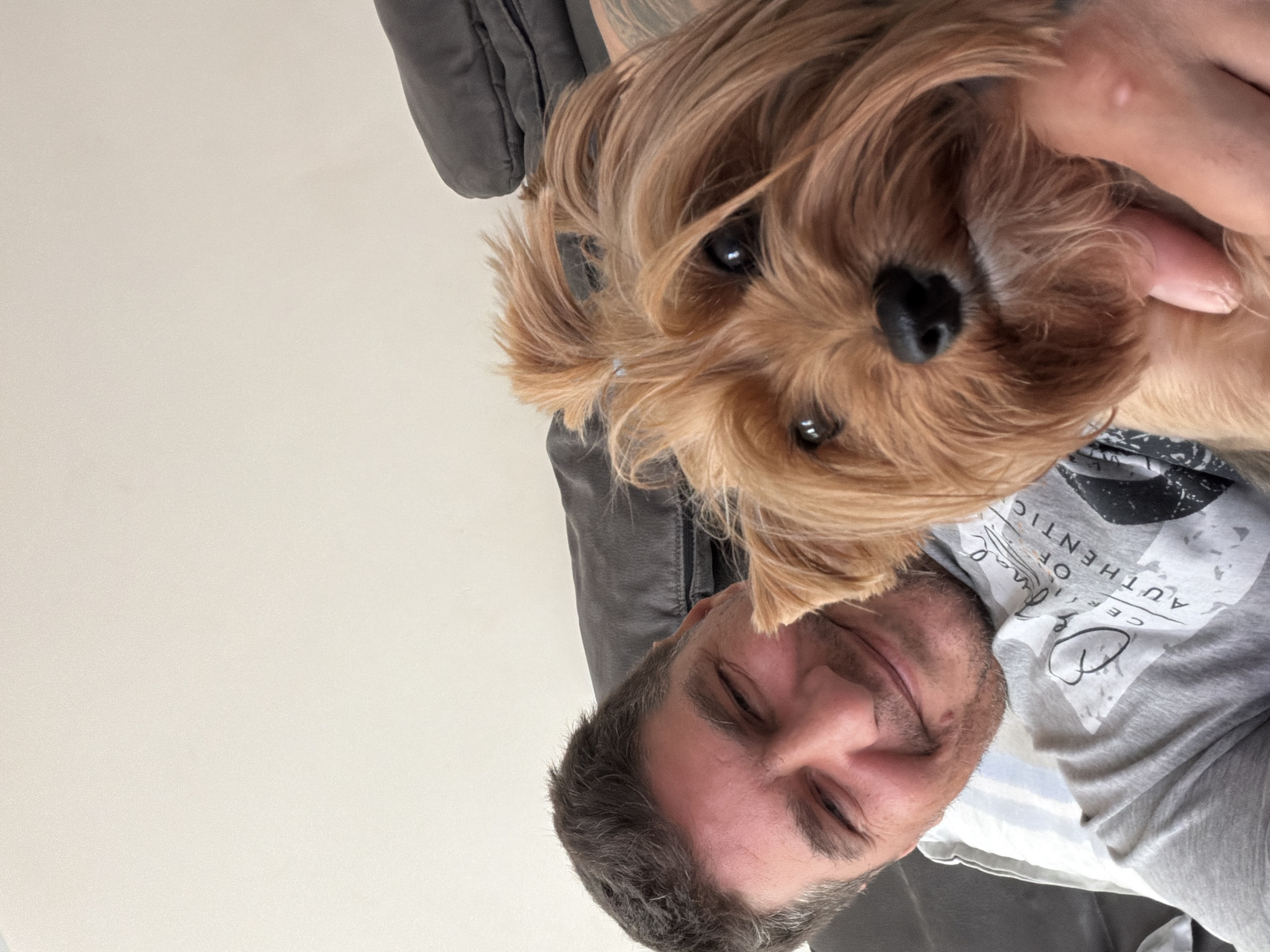 A man and a Yorkshire Terrier are in a close-up selfie. The man, with short dark hair and stubble, is smiling and looking at the camera. He is wearing a grey t-shirt with a graphic print. The dog, with long reddish-brown fur and its hair tied up with a blue band, is positioned in front of the man, obscuring part of his face. The dog's eyes are open and looking forward. They appear to be indoors, possibly on a couch, with a dark upholstered surface visible in the background and a light-colored wall behind them. The image is taken from a slightly elevated angle, common for selfies.