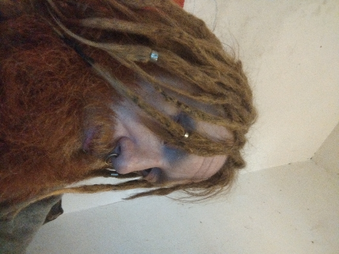 The image depicts a close-up, angled portrait of an individual from the right side of their face, looking downward. The subject possesses extensive light brown to auburn dreadlocks, with several locks containing small, light-colored metallic rings or beads. A prominent, thick, and long reddish-brown beard covers the lower half of the subject's face. A circular metallic septum piercing is visible through the nostrils. The individual's right eye is partially obscured by dreadlocks, and the left side of the face is not visible. The background consists of a plain, light-colored wall, possibly off-white or beige, with minor smudges or texture variations. A corner where two wall surfaces meet is discernible in the upper right quadrant. No specific objects or interactions are evident beyond the subject. The lighting is diffused, illuminating the subject's right side. The image contains no visual information to ascertain a specific location within the city of Grand Rapids, United States.