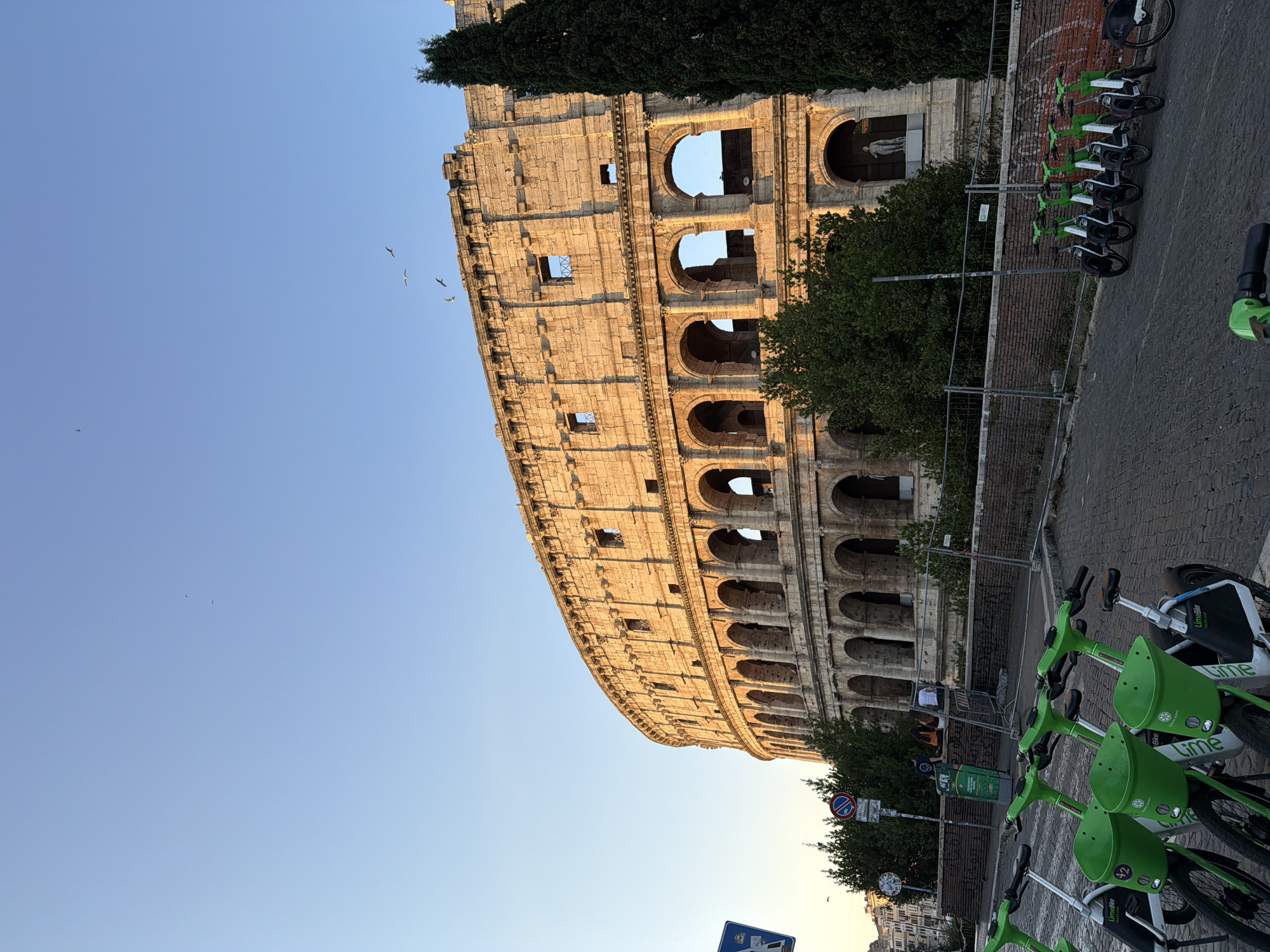 A wide-angle, low-angle shot captures the Colosseum in Rome, Italy, under a clear blue sky during what appears to be sunset. The ancient Roman amphitheater dominates the upper half of the frame, its sandstone facade illuminated by warm, golden light, highlighting the rows of arches and weathered stone. Several birds are visible in the sky above the structure. In the foreground, a row of bright green Lime electric bikes is parked on a cobblestone street. The bikes are all facing towards the right of the frame. Behind the bikes, a low brick wall and metal fencing separate the street from the Colosseum. Some trees and foliage are visible around the base of the Colosseum. In the distance, to the left, buildings of the city can be seen.