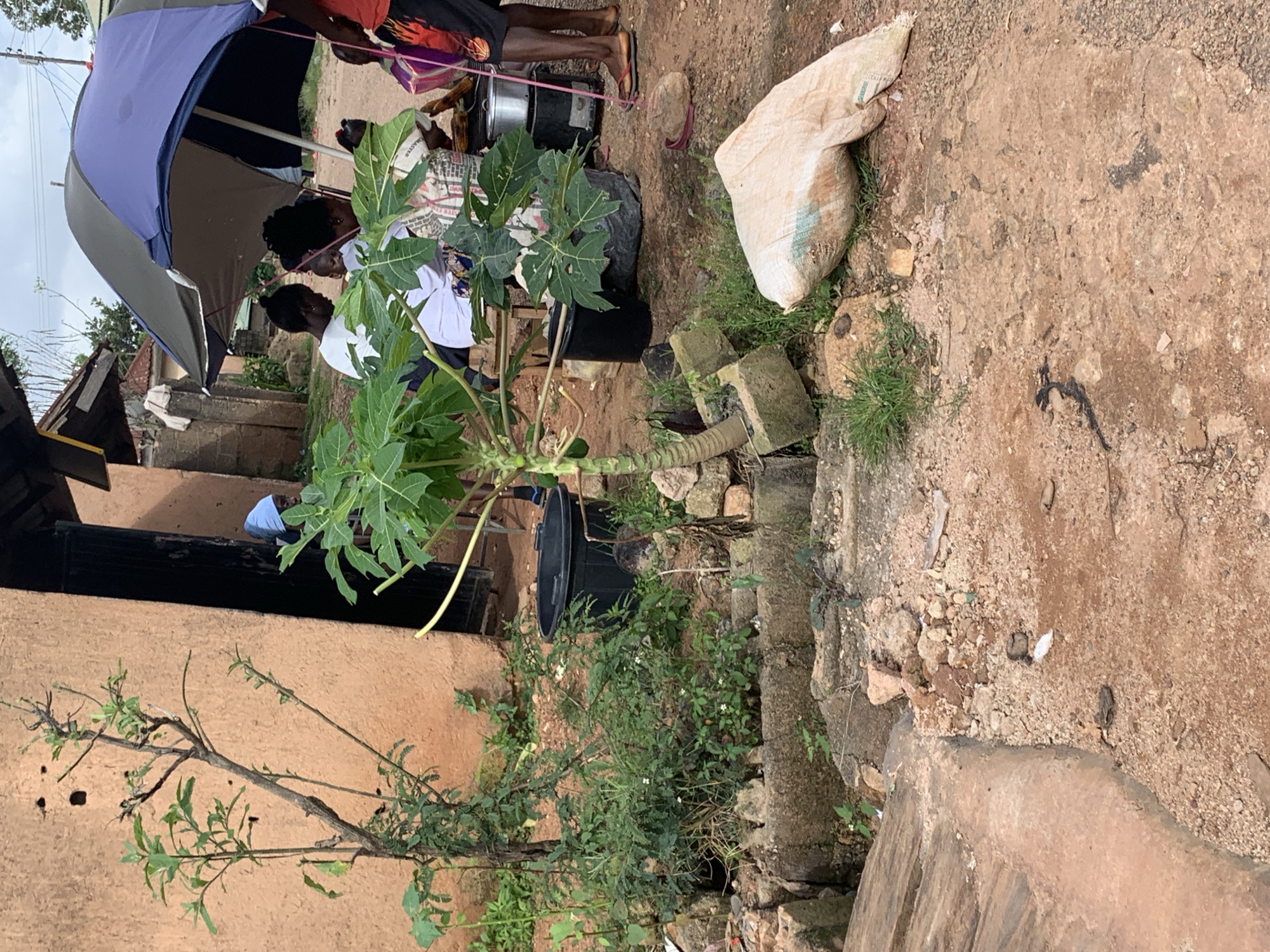 The image depicts an outdoor scene in an urban setting in Unknown, Unknown. In the foreground, a dirt path leads towards a building with an orange-colored wall. To the left, a thin tree with sparse leaves grows near the building. In the middle ground, a small papaya plant is visible. Several large black buckets are placed on the ground, one of which contains water. To the right, a blue and green umbrella shades a group of people sitting. One person is wearing a white t-shirt, and another is wearing a patterned headwrap and top. A metal pot is placed on a dark-colored stove. A large, light-colored sack lies on the ground in the right foreground. The environment appears somewhat unkempt, with scattered rocks and debris. The sky is overcast.
