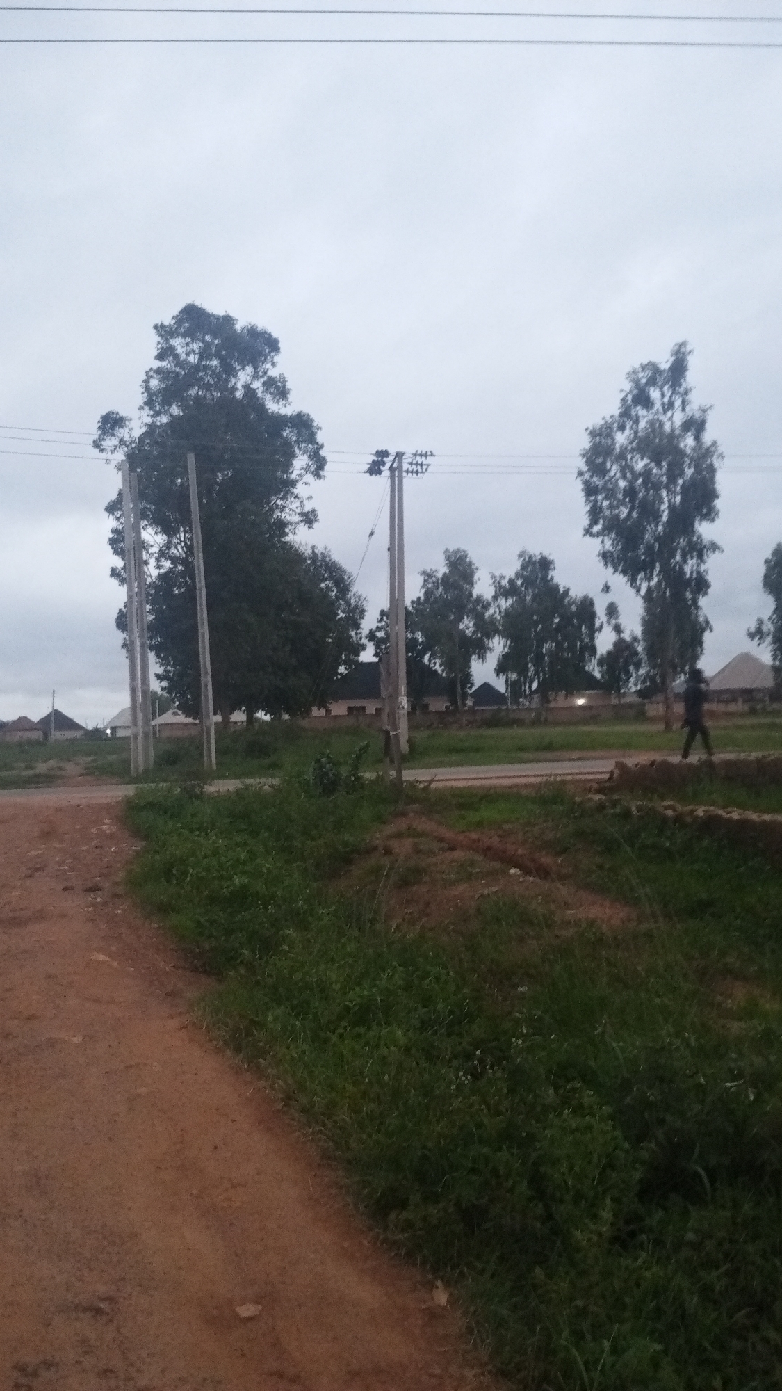 In a rural or suburban setting with an overcast sky, a dirt road is visible on the left. The road curves into the background. Lush green grass lines the right side of the road and extends into the background, where it meets a paved road. Several tall trees with sparse foliage are scattered throughout the scene. Electrical poles with visible wires are present. In the middle ground, buildings with dark roofs are situated behind a fence. A single figure, appearing to be a person walking, is visible on the right side of the paved road. The overall lighting suggests it is either early morning or late evening.