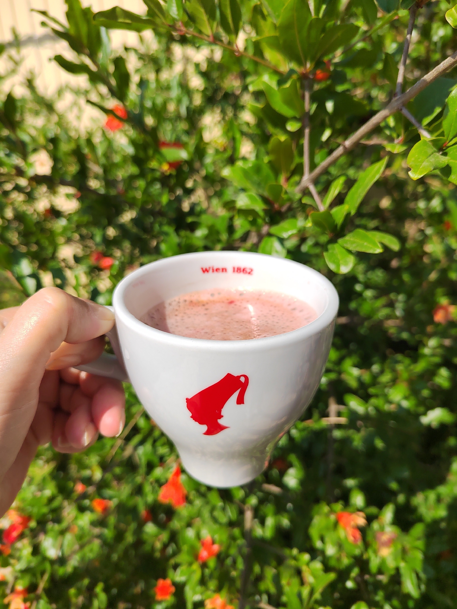 A hand holds a white coffee cup with red text reading "Wien 1862" and a red silhouette of a woman's head against a blurred background of green foliage and small red flowers. The scene appears to be outdoors.