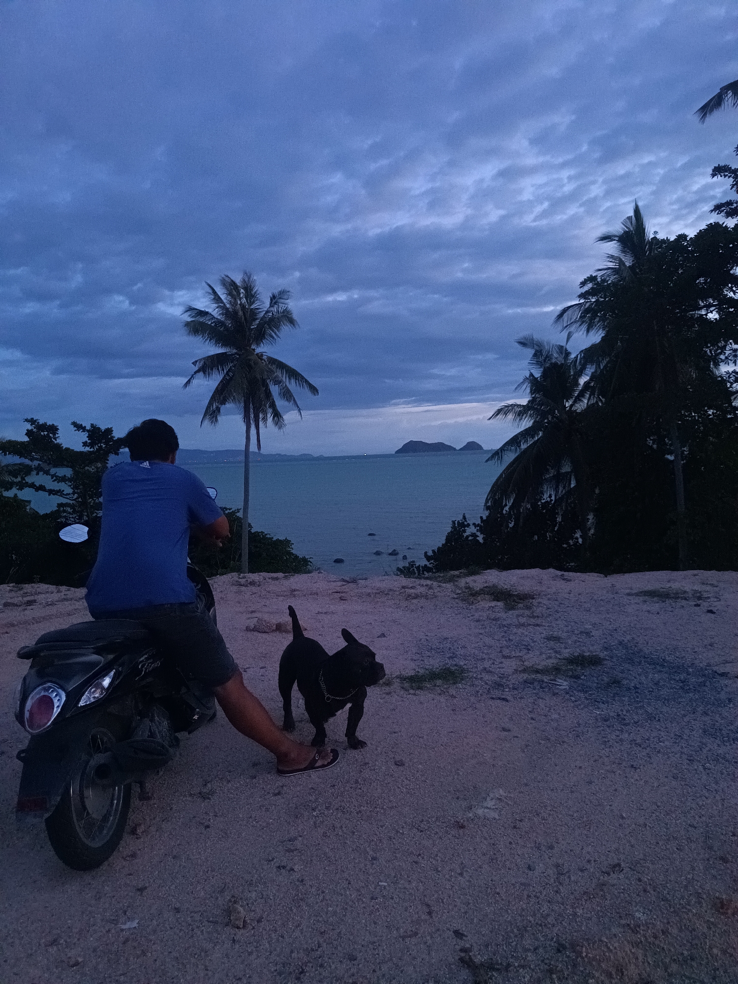 A man sits on a motorcycle next to a black dog in Baan Hin Kong, Thailand. The scene is set on a sandy surface overlooking the ocean, with islands visible in the distance. Palm trees frame the view, and the sky is filled with dark clouds. The man is wearing a blue shirt and dark shorts with flip-flops, while the dog has a silver chain around its neck. The scene seems captured during twilight hours, adding a serene and slightly melancholic tone to the image.