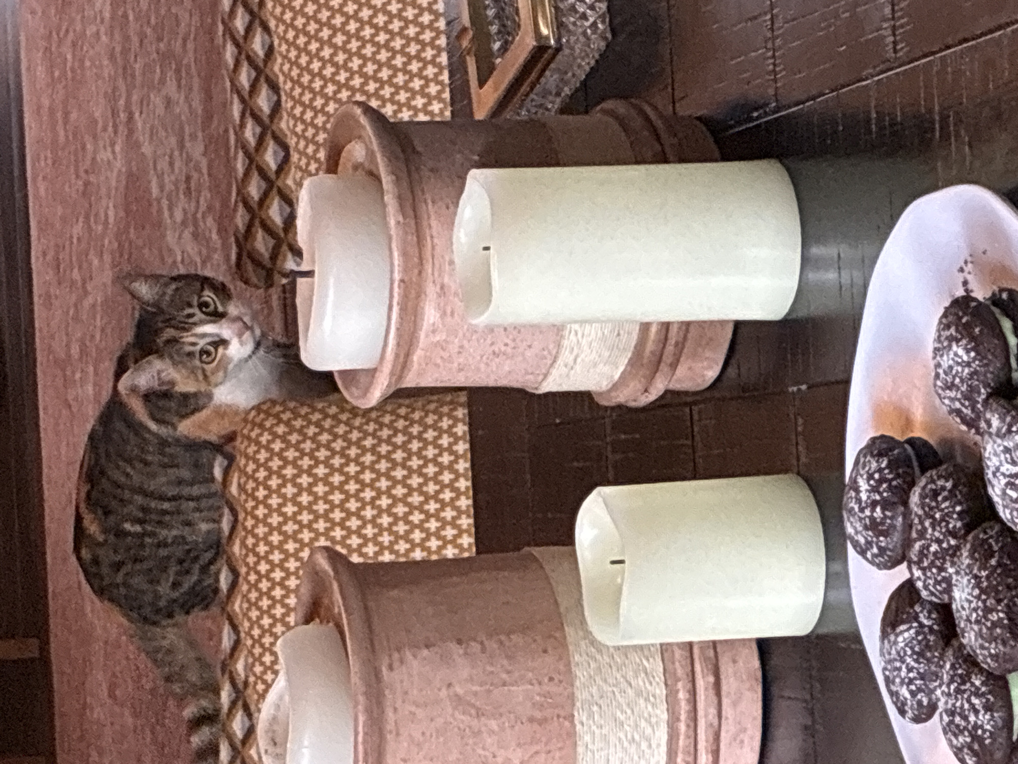 A medium shot shows a cat near two cylindrical candles set inside decorative ceramic containers. One plate of dark, round foods, possibly olives or chocolates, is near the candles on a dark wooden surface. A pillow or cushion with a brown geometric pattern is visible between the cat and the candles. A section of a wall or furniture is to the left. This location is not in the city of Cañada de Madero, Mexico.