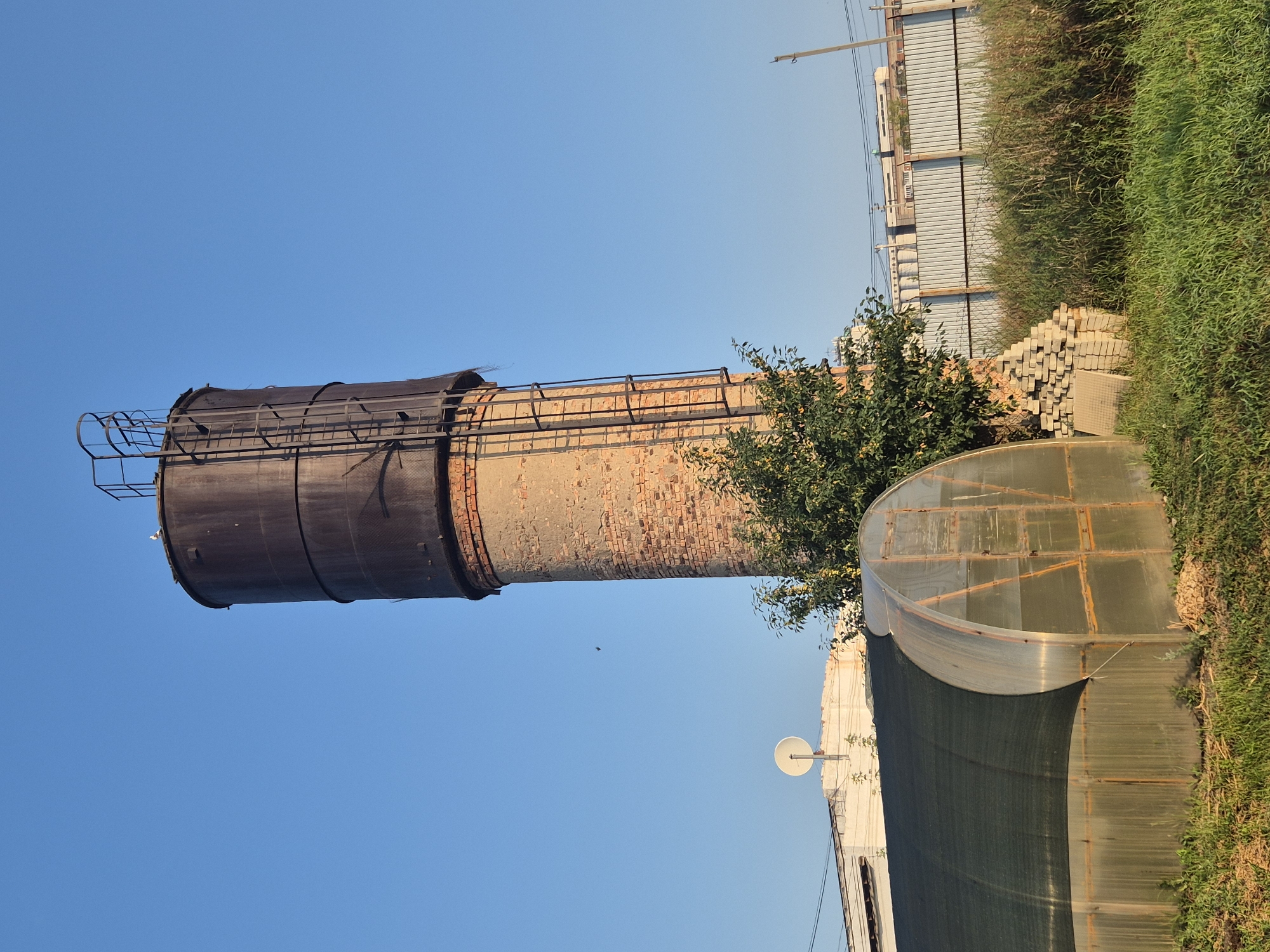 In the city of Novoishimskoe, Kazakhstan, a tall, weathered brick water tower dominates the skyline against a clear blue sky. A metal ladder ascends the tower's exterior, leading to a dark, cylindrical tank at its apex. Two white birds perch on the edge of the tank. In the foreground, a greenhouse with a partially covered roof and visible structural supports sits on grassy ground. To the right of the greenhouse, a stack of concrete paving stones leans against the base of a leafy green tree. Beyond the tree, a metal fence stretches across the background, with buildings and power lines visible behind it. The scene is bathed in sunlight, casting soft shadows and highlighting the textures of the brick, metal, and vegetation.