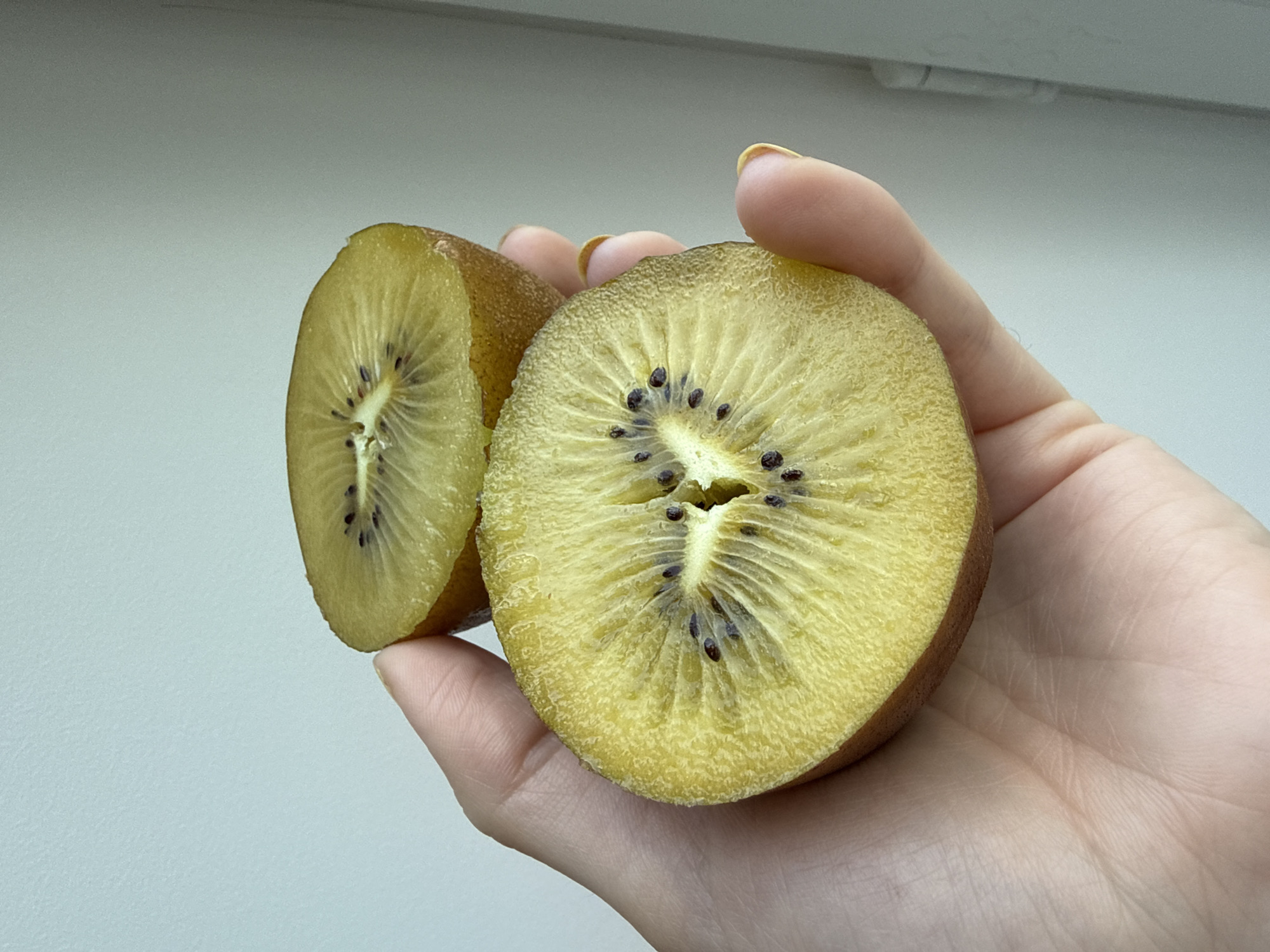 A close-up shot depicts a hand holding two halves of a golden kiwi fruit. The kiwis have a yellow flesh speckled with black seeds. The background is a plain, light grey color. The image appears to be taken indoors in soft light. There are no indications of Moscow, Russia in the image.