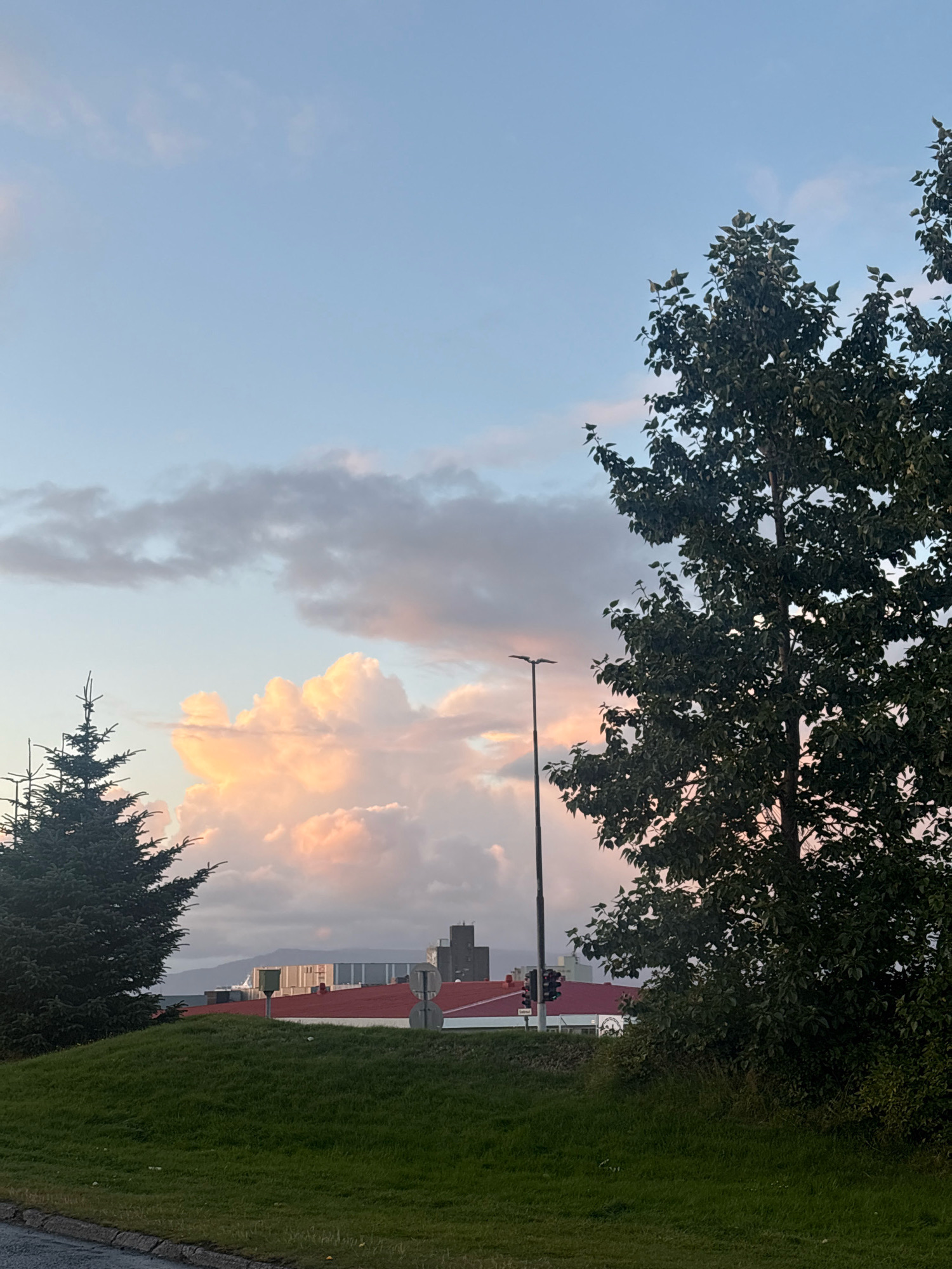 The image captures a late afternoon or early evening scene in Reykjavik, Iceland, with a clear sky transitioning to dusk. The foreground features a lush green grassy hill, with a paved road bordering the bottom left. To the left of the hill, a tall, dark green evergreen tree stands prominently. On the right side of the image, a large deciduous tree with dark green foliage is the dominant element, partially obscuring the sky.
In the middle ground, several buildings with red roofs are visible, suggesting an urban or industrial area. A tall, dark lamppost stands between the two trees. In the distance, beyond the buildings, a body of water is visible, and further still, mountains or hills are silhouetted against the colorful sky. The sky itself is a spectacle of pastel colors, with soft pinks, oranges, and blues painting the clouds. Large, fluffy clouds, particularly in the center-left of the image, are illuminated with a warm, golden light, indicating the setting sun.
No people or animals are present in the image. The overall impression is one of natural beauty meeting urban development under a dramatic and colorful sky.