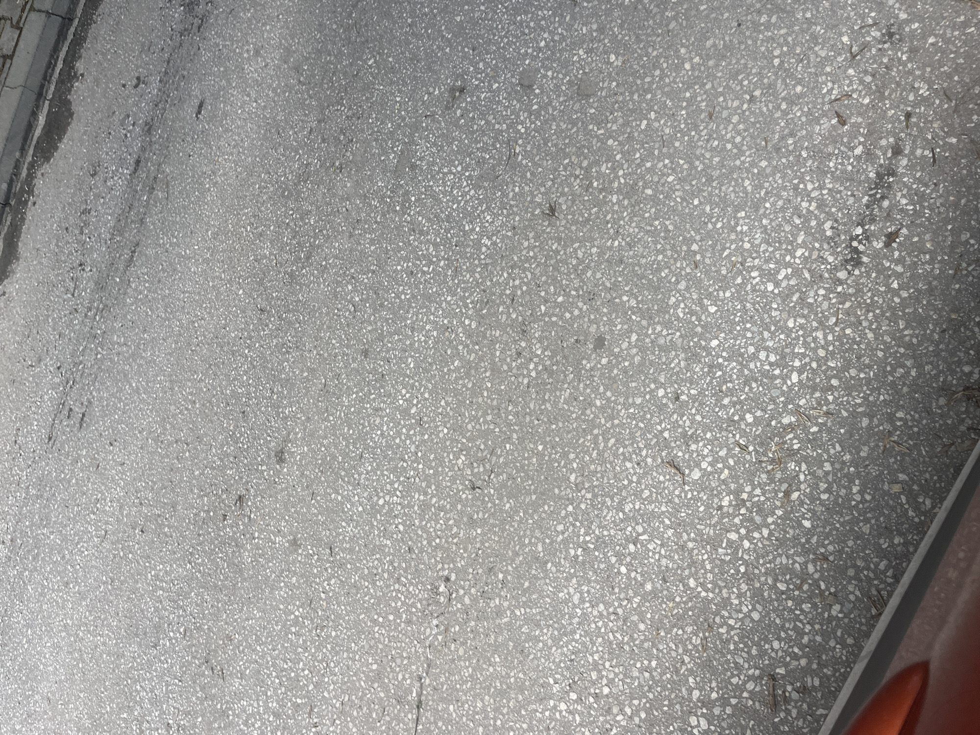 The image shows a section of a paved surface, likely a sidewalk or street, in Plovdiv, Bulgaria. The surface is composed of small aggregate materials set in a gray concrete matrix. There is some minor debris scattered across the surface, including small pieces of organic matter. A sidewalk edge is visible in the upper left, and an edge of a vehicle is visible in the lower right.