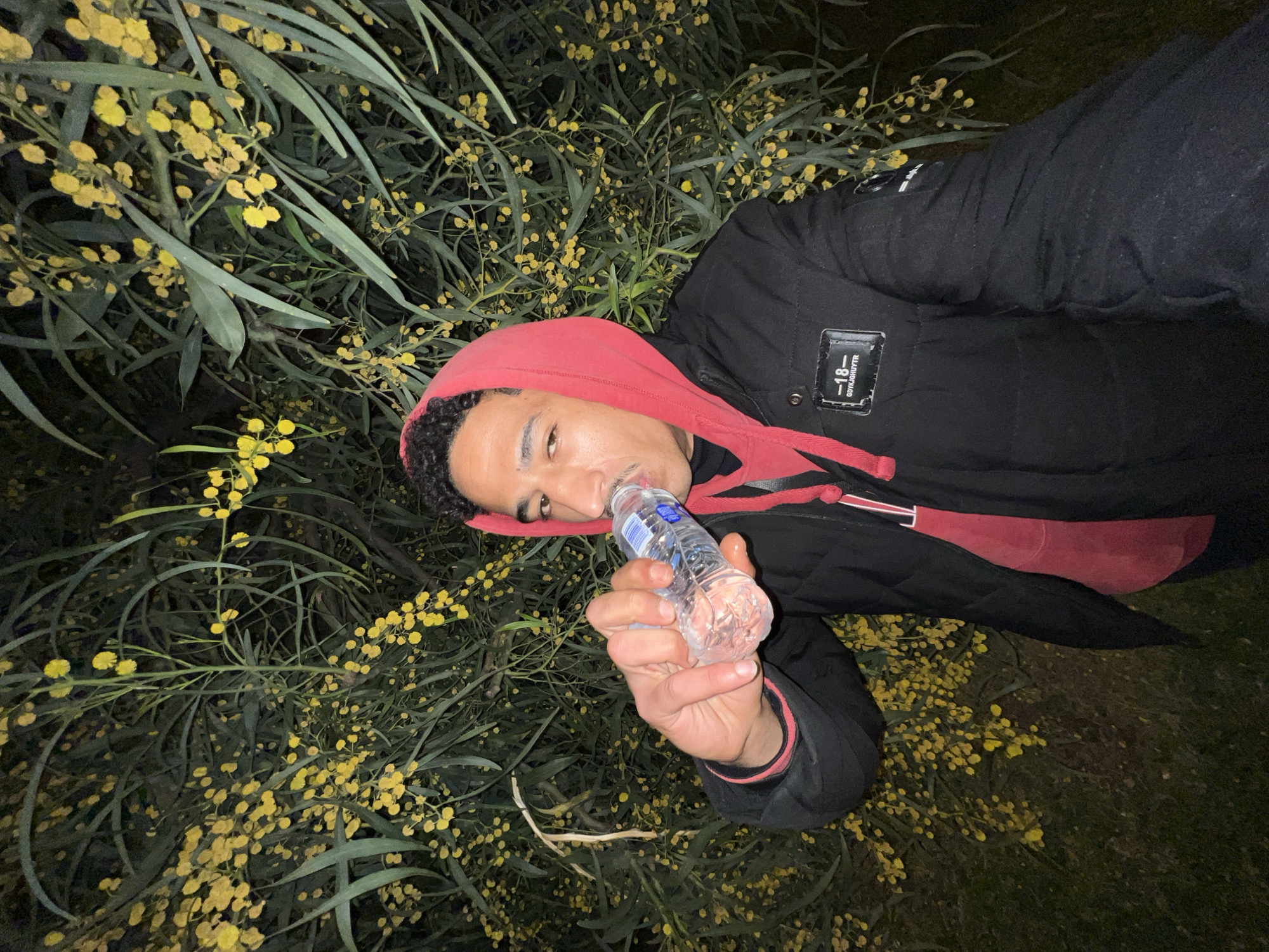 A male individual is depicted mid-shot in an outdoor setting in the city of Tanger, Morocco. He faces slightly right of the camera, holding a clear plastic water bottle with a blue label to his mouth, appearing to drink. He has dark, curly hair, a light mustache, and is wearing a red hooded sweatshirt with the hood up, covered by a black puffer jacket. The jacket features a rectangular black patch on the left chest with "-18-" and "GDYKJGHUYTR" in white text. The background consists of dense green foliage adorned with numerous clusters of small, bright yellow flowers, consistent with Mimosa species. The scene is dimly lit, suggesting evening or night, with the subject and foliage illuminated by an unseen light source. The ground is dark and partially visible at the bottom.