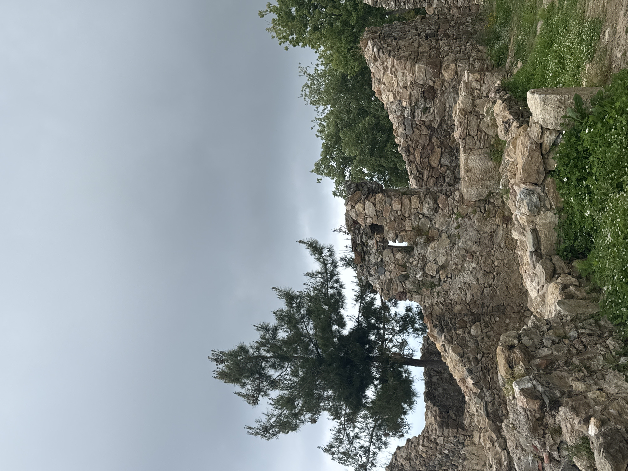 The image depicts the ruins of the Vila Velha castle in Ilha do Boi, Espírito Santo, Brazil. The structure is made of rough stones and partially covered by trees and vegetation. The sky is overcast.