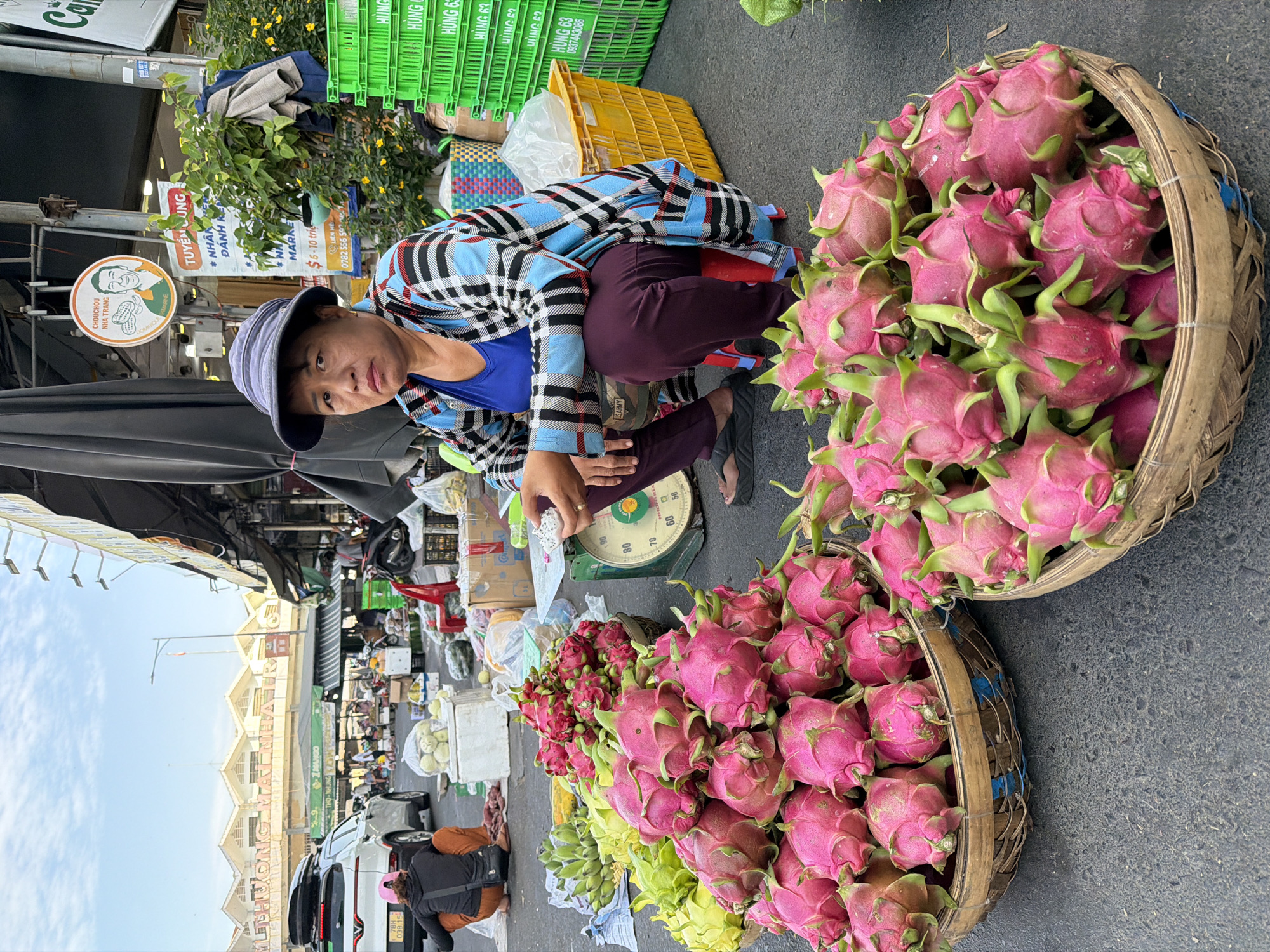 An outdoor market scene unfolds in Nha Trang, Vietnam. A woman wearing a blue and plaid jacket, purple pants, and a wide-brimmed hat crouches on a small red stool. She holds a white fruit, possibly dragon fruit, in her right hand. In front of her are two large woven baskets overflowing with vibrant pink dragon fruit, their green leafy exteriors contrasting with the bright pink flesh. To the left of the woman, a pile of yellow and green dragon fruit is visible, along with bunches of green bananas and other produce. A mechanical scale stands near the woman, displaying numbers. In the background, a white car with a roof rack is parked, and other market stalls with various goods and awnings are set up. The ground is paved asphalt. The sky above is a pale blue with hints of clouds. A sign with a cartoon image of a man and text in Vietnamese is affixed to a pole to the right of the woman. Green plastic crates are stacked high to the right of the scene.