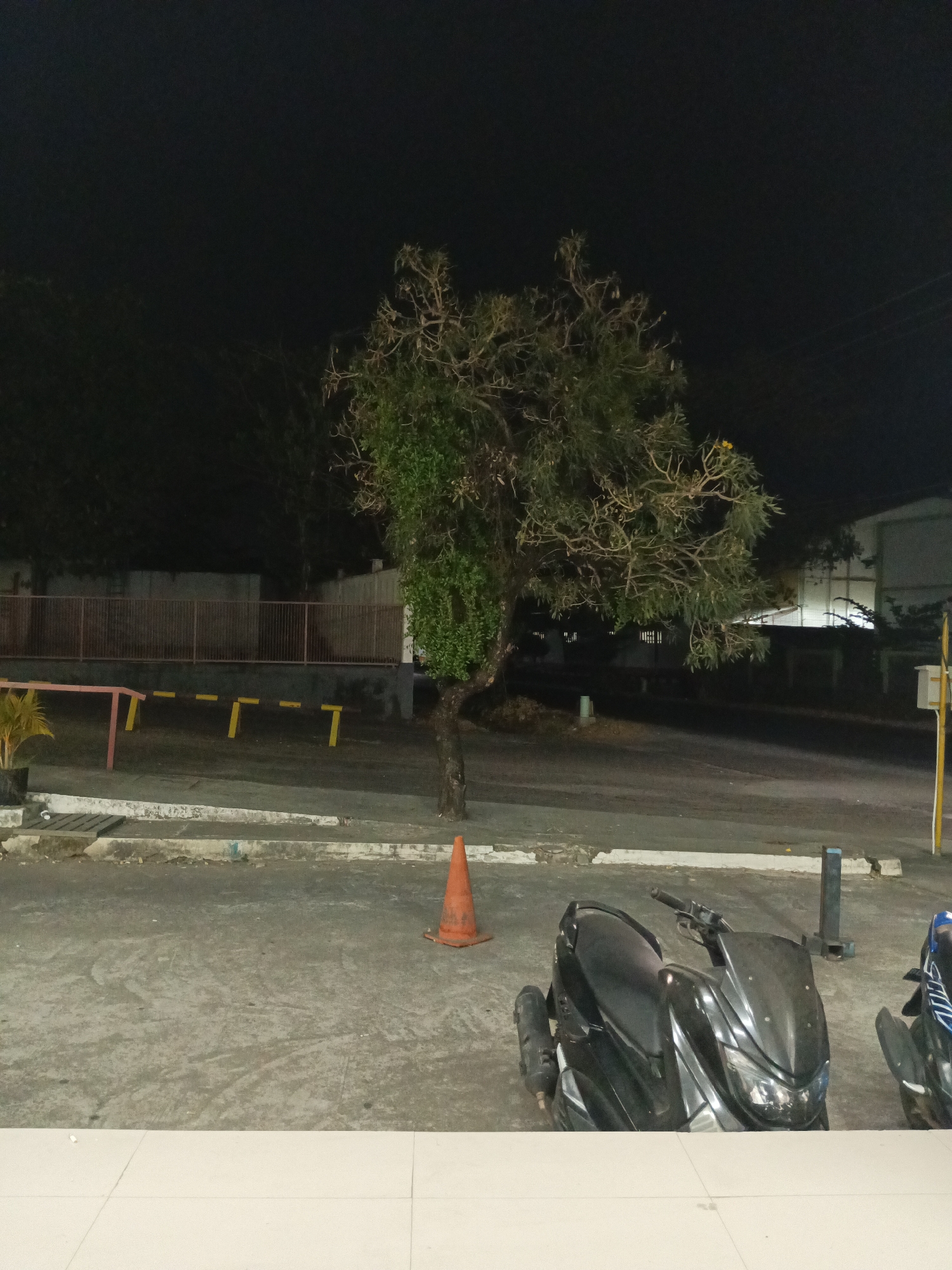 An outdoor scene at night in Makassar, Indonesia features a large tree with intricate branches dominating the center, its foliage illuminated by artificial light, casting shadows on the concrete ground. In the foreground, two parked motorcycles, one black and one partially visible blue, are positioned on the pavement. An orange traffic cone stands to the left of the motorcycles, near a low concrete barrier. In the background, a fence separates the immediate area from buildings and more trees, all shrouded in darkness. The scene suggests a public space, possibly a parking lot or a street.