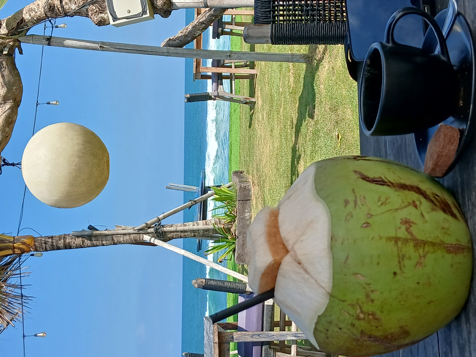 The image depicts a close-up view of a green coconut with a straw, placed on a wooden table. Beside the coconut is a black coffee cup and saucer, with a small chocolate cookie resting on the saucer. In the background, there is a grassy area leading to a beach with crashing waves and the ocean under a clear blue sky. Several wooden tables and chairs are visible on the grass, suggesting an outdoor dining or lounge area. A large, round, light-colored object hangs from a tree branch overhead. The scene appears to be a cafe or restaurant at a beachside location in Mengwi, Indonesia.