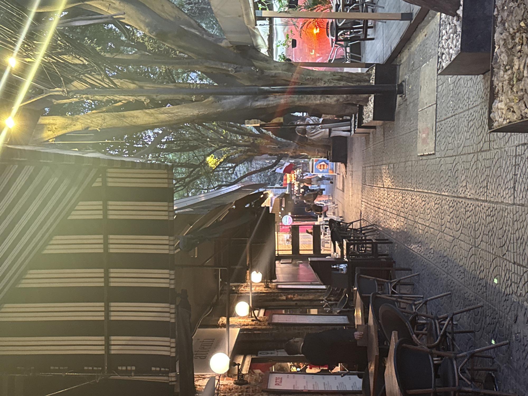 The image depicts a street scene in Mexico City, Mexico, at dusk or evening. The street is lined with restaurants and shops, visible under awnings and illuminated by strings of lights. Tables and chairs are set up outdoors, some stacked. Pedestrians are visible further down the street. The buildings appear to be constructed from brick. Large trees line the street, their branches forming a canopy overhead. The paving is patterned.